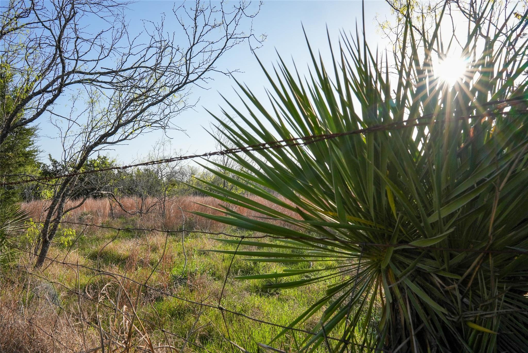 Tbd Lost Acres Loop Loop Property Photo 15