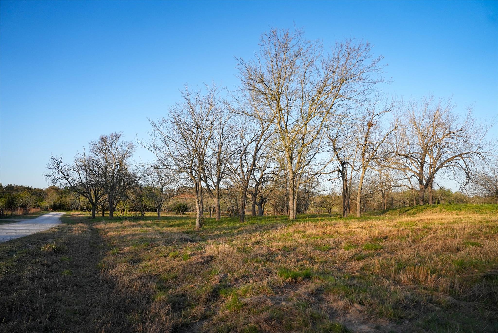 Tbd Lost Acres Loop Loop Property Photo 16