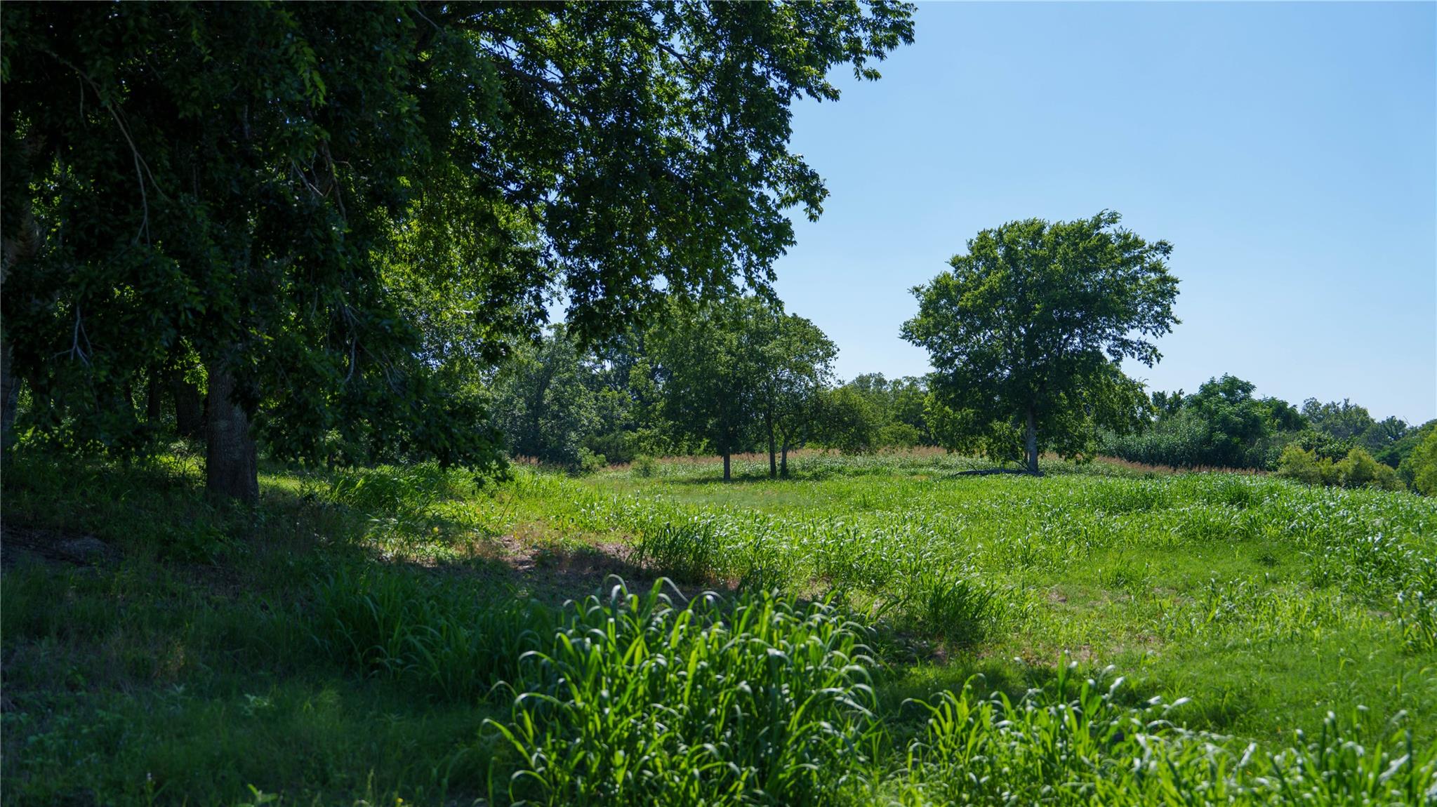 Tbd Lost Acres Loop None Property Photo 26