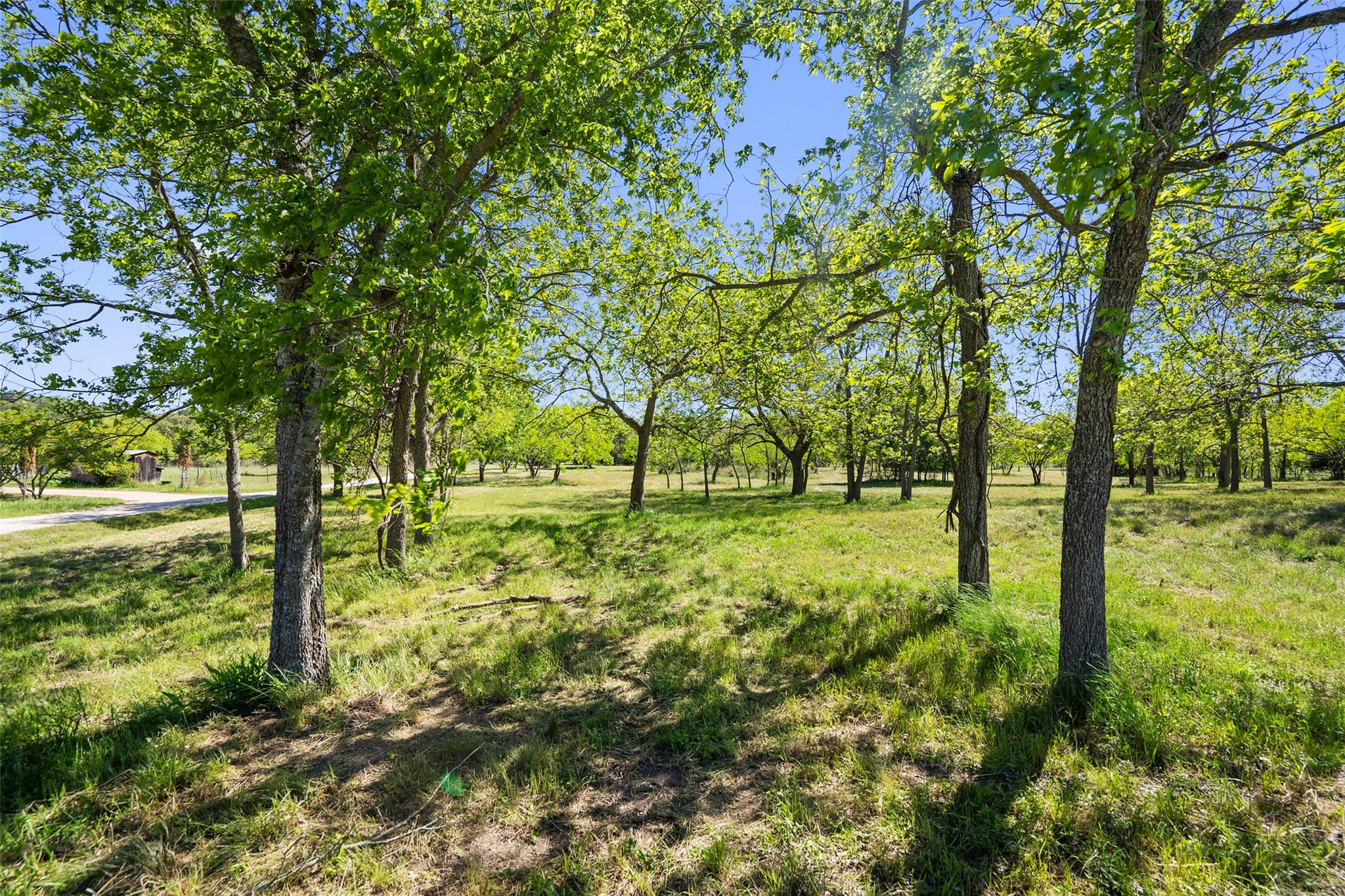 Tbd Lost Acres Loop Loop Property Photo 39