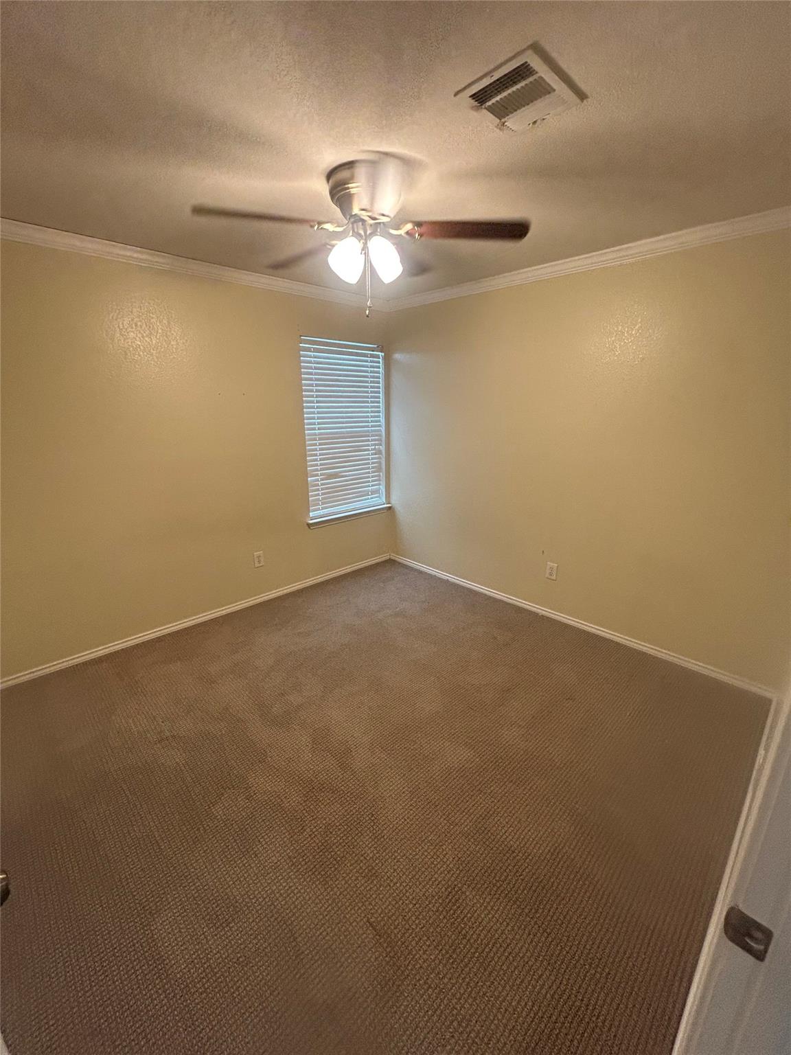 731 Abundance Ln Property Photo 14