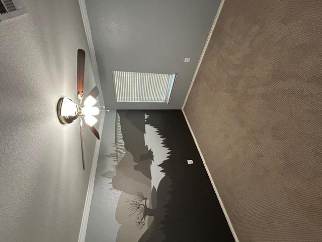 731 Abundance Ln Property Photo 21