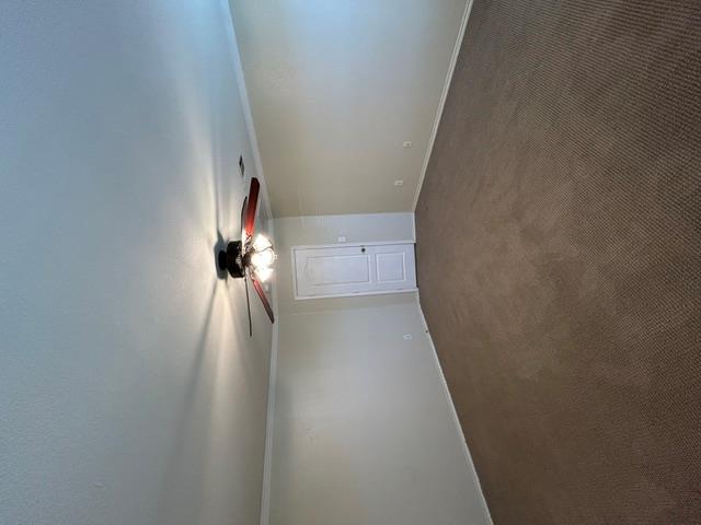 731 Abundance Ln Property Photo 25