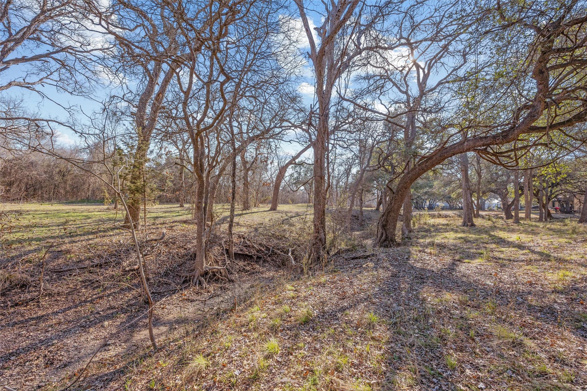 132 Quiet Oak Cv Property Photo 18