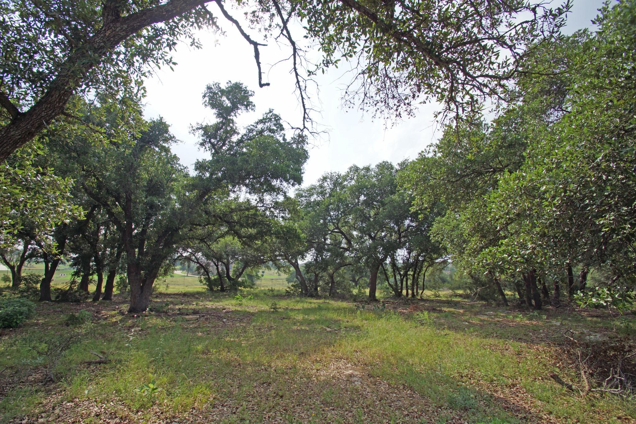 1068 Eagle Point Dr Property Photo 1
