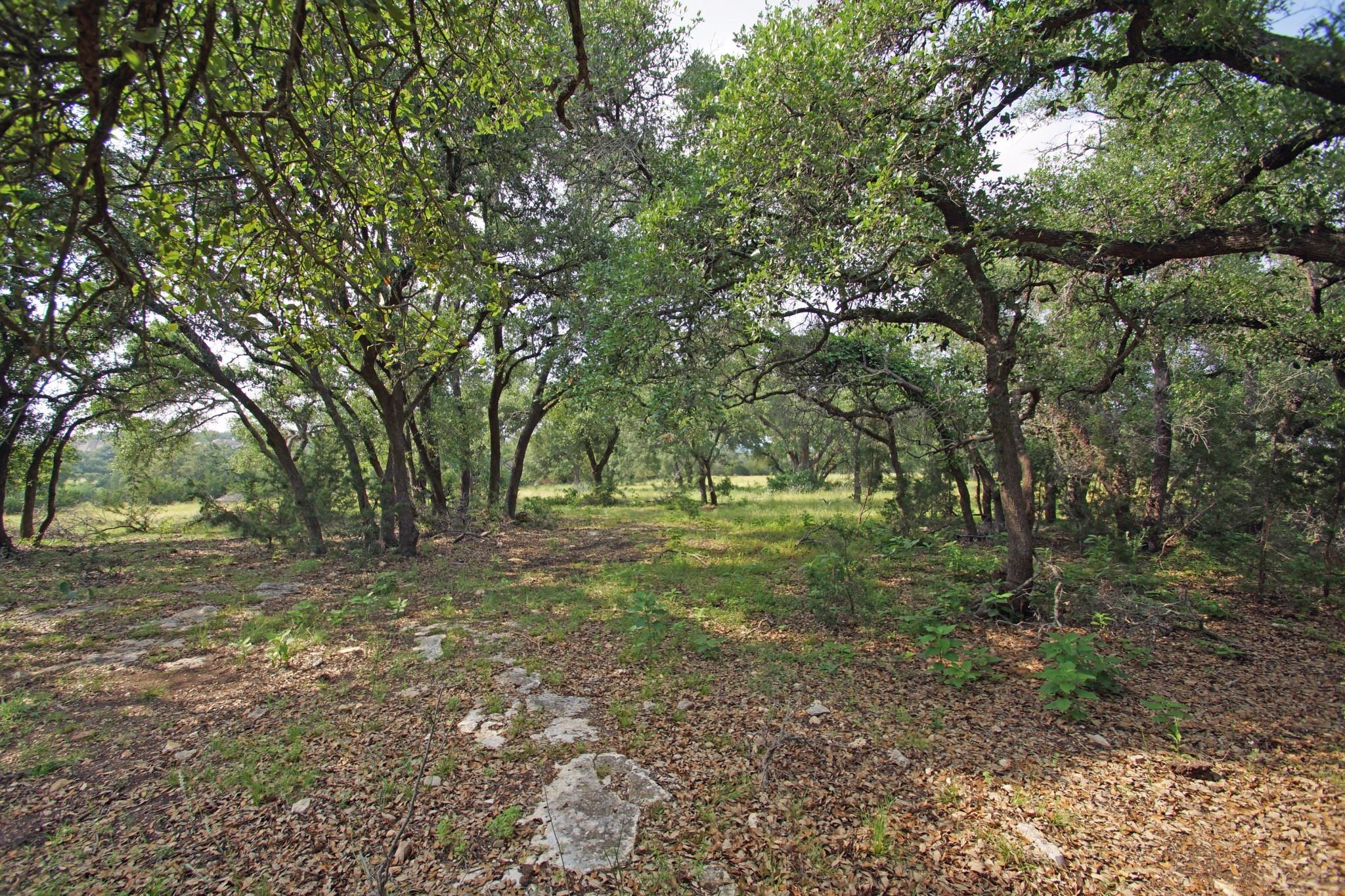 1068 Eagle Point Dr Property Photo 3