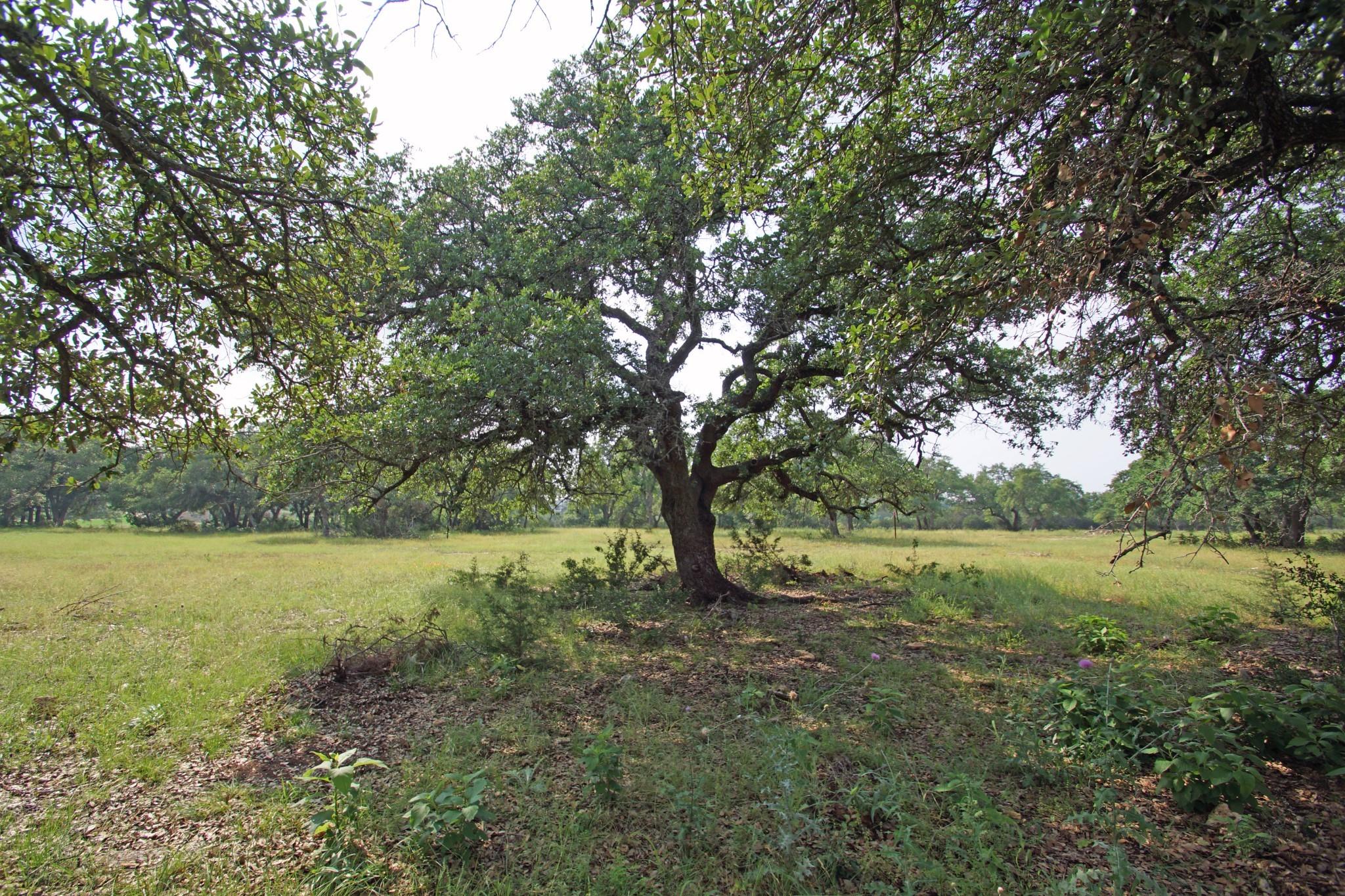 1068 Eagle Point Dr Property Photo 4