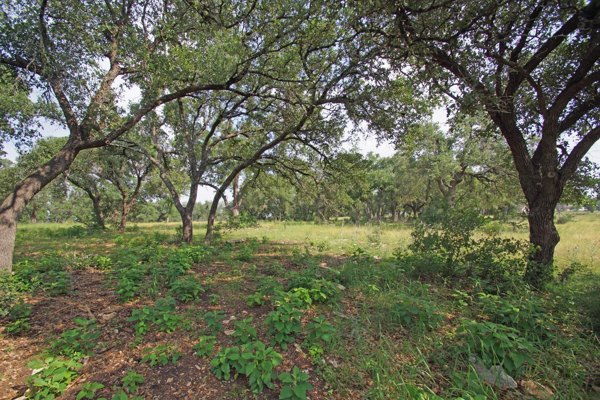 1068 Eagle Point Dr Property Photo 9