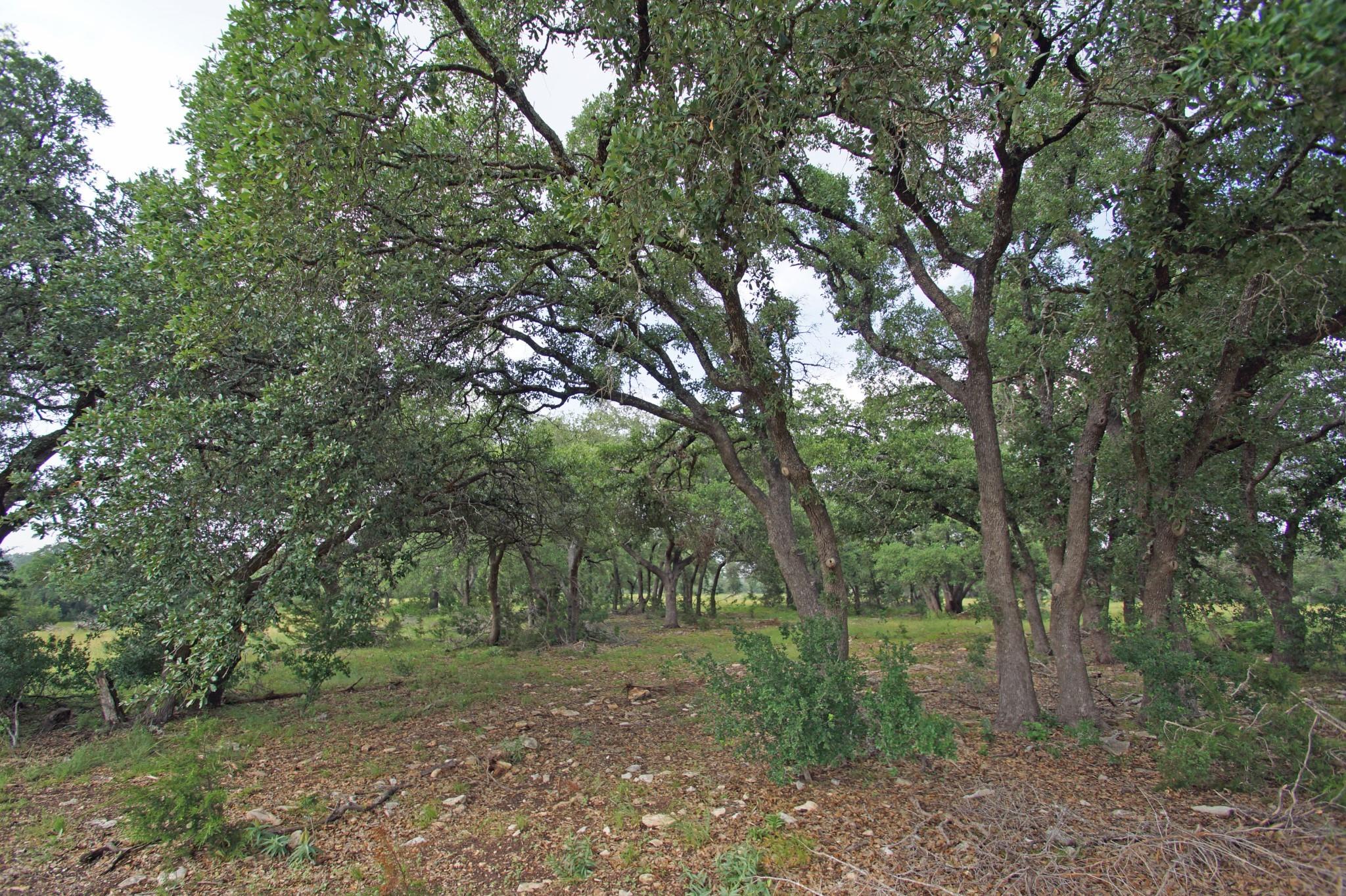 1068 Eagle Point Dr Property Photo 13