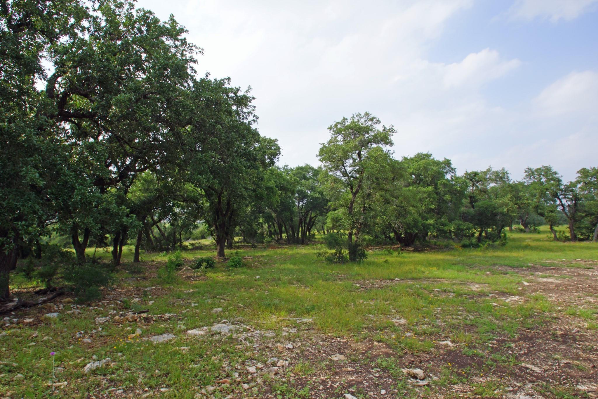 1068 Eagle Point Dr Property Photo 14