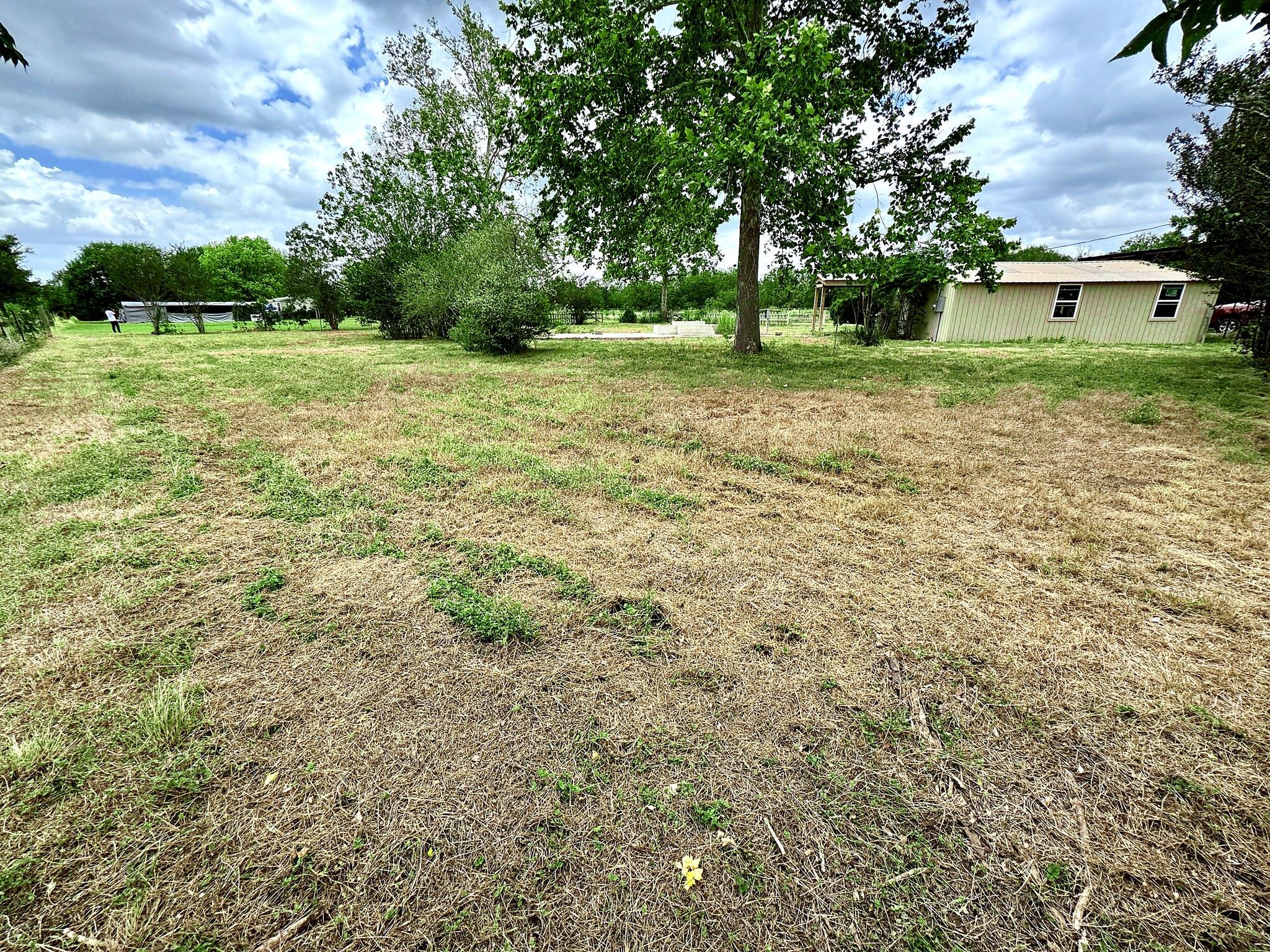 2303 Webberwood Dr Property Photo 6