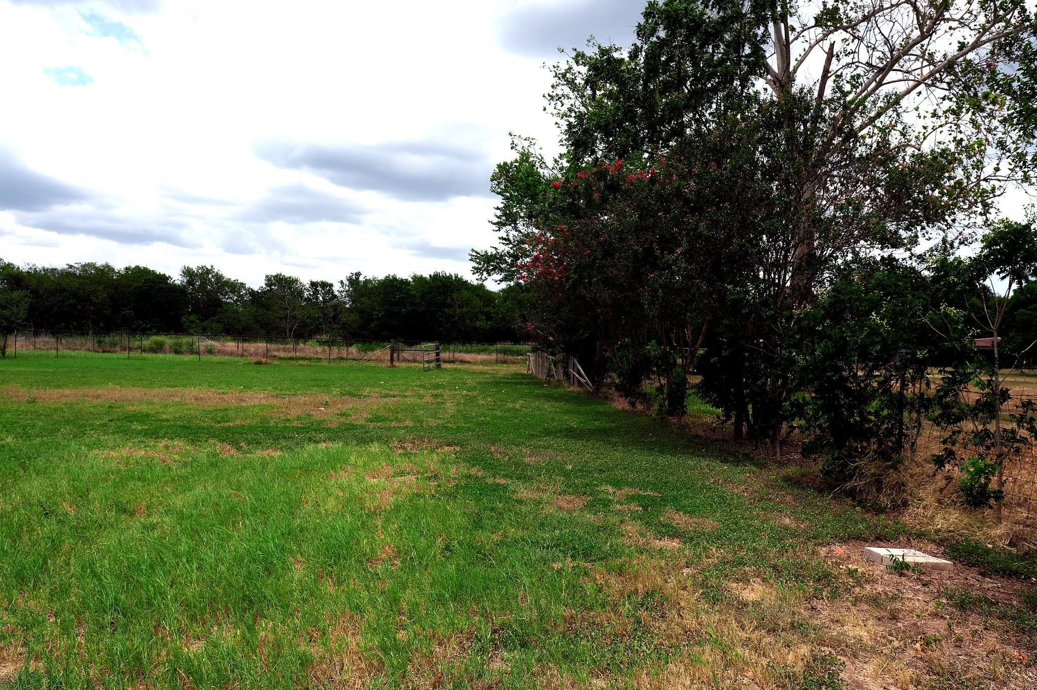 2303 Webberwood Dr Property Photo 27