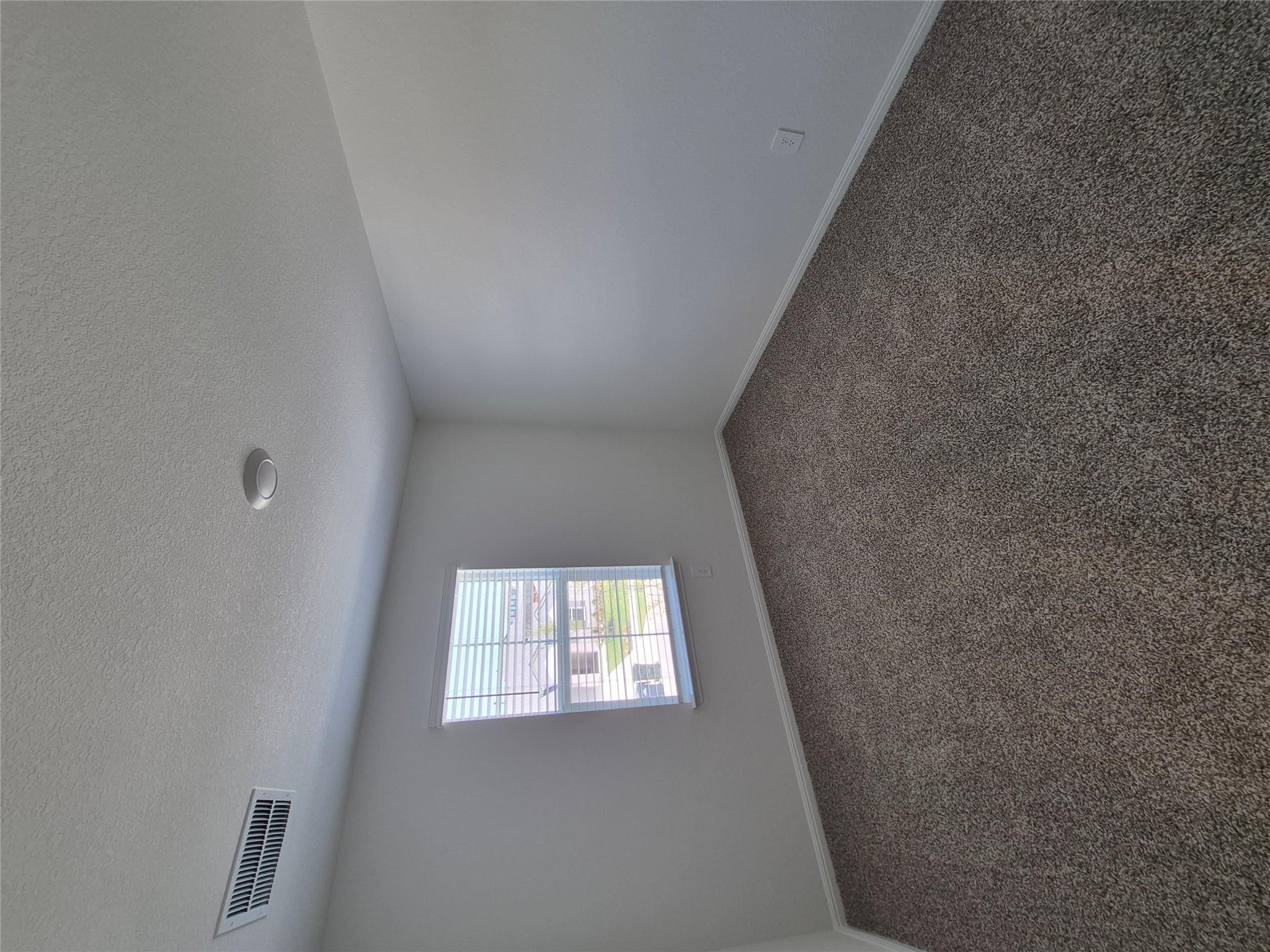 1816 Dandy Brush Dr Property Photo 29