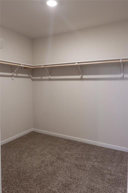 401 Abbey Ln Property Photo 12