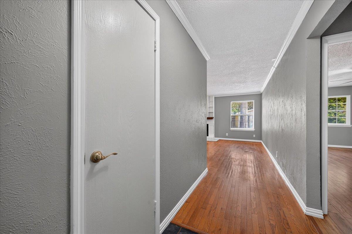10215 Missel Thrush Dr Property Photo 14