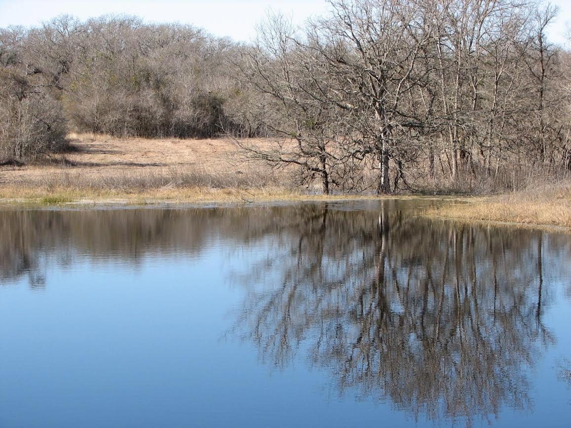 10905 Fm 1915 Fm1915 Hwy Property Photo 15
