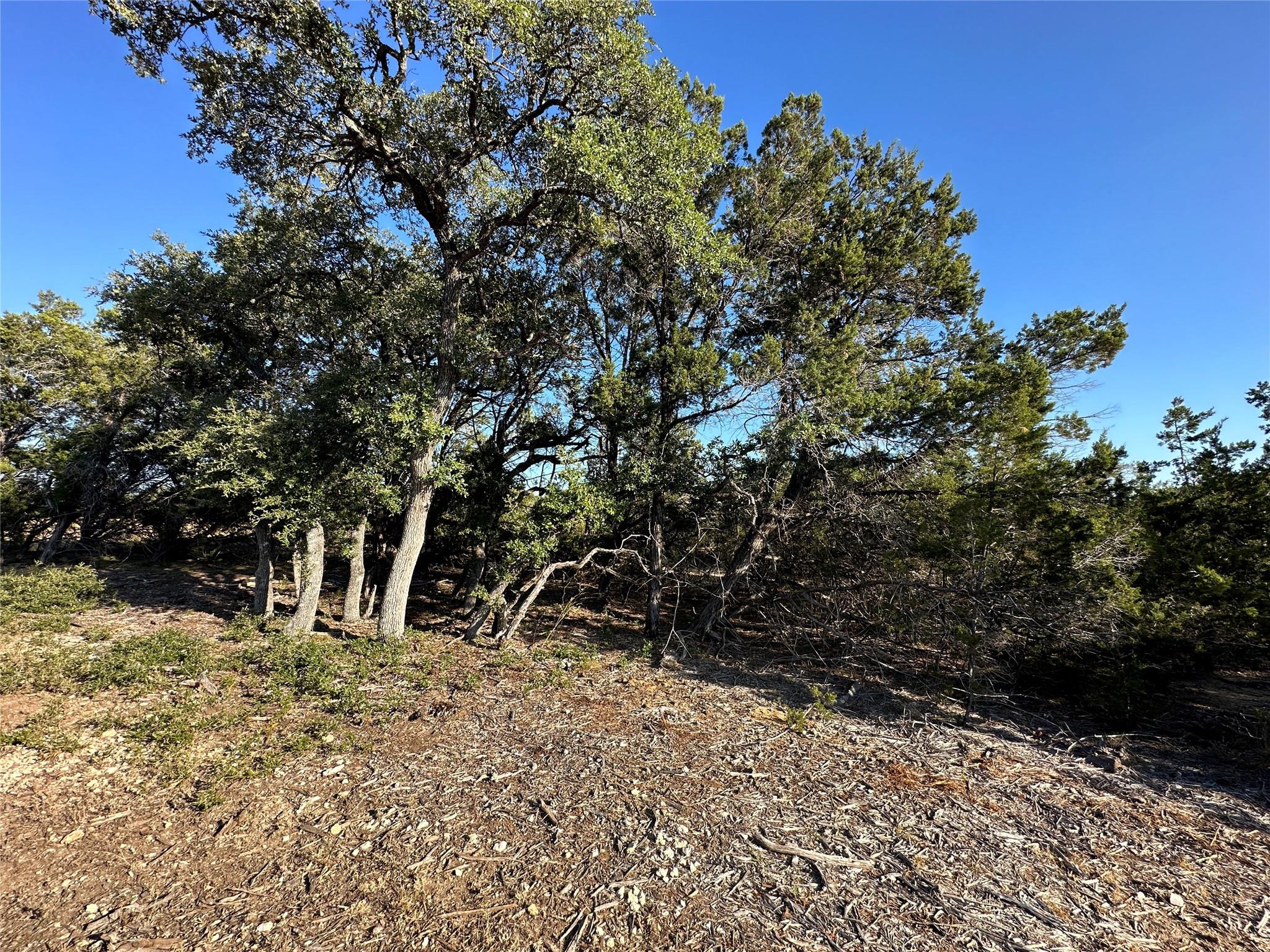 13272 - B Fm 2484 Property Photo 11