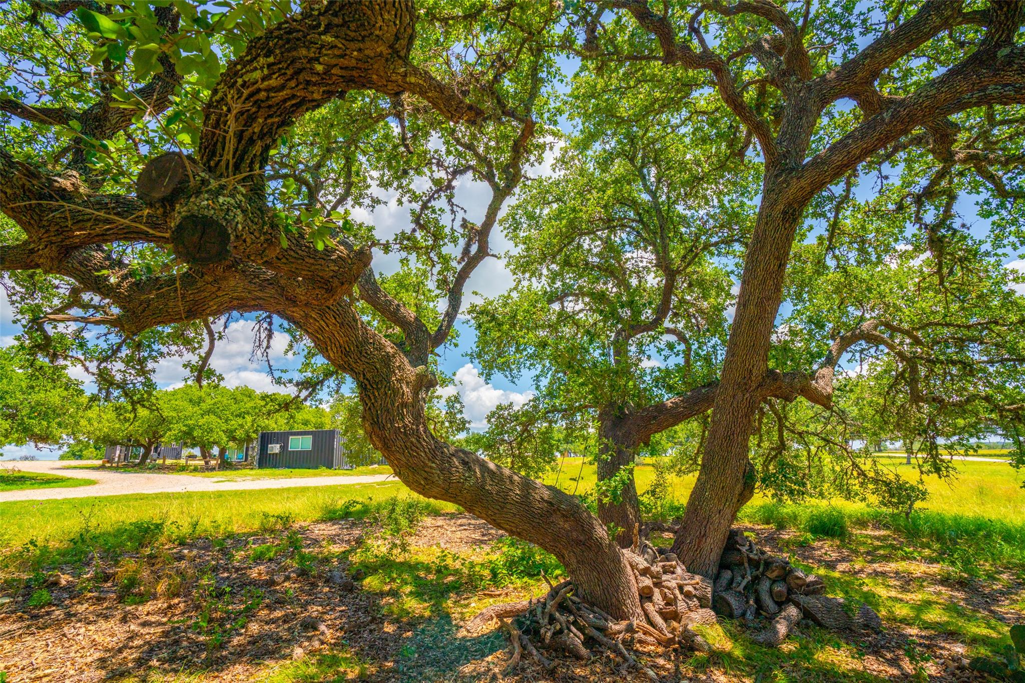 8502 E Us 290 Property Photo 16