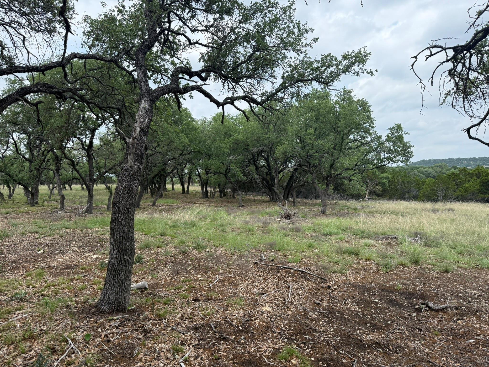 518 County Road 1403 None Property Photo 10