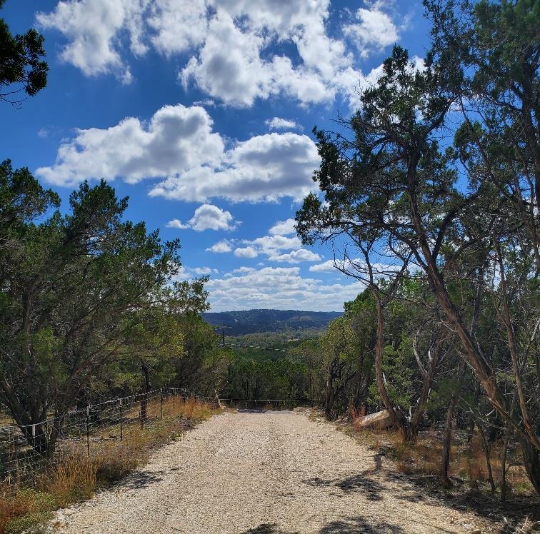 211 Hoots Holler Property Photo 8