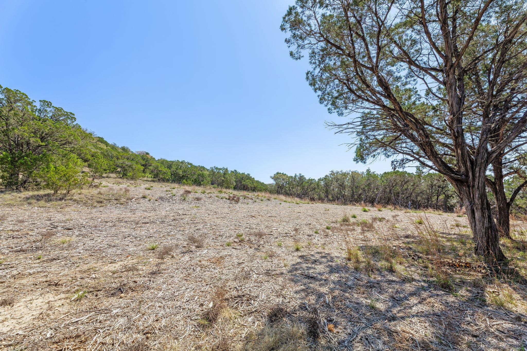 211 Hoots Holler Property Photo 13