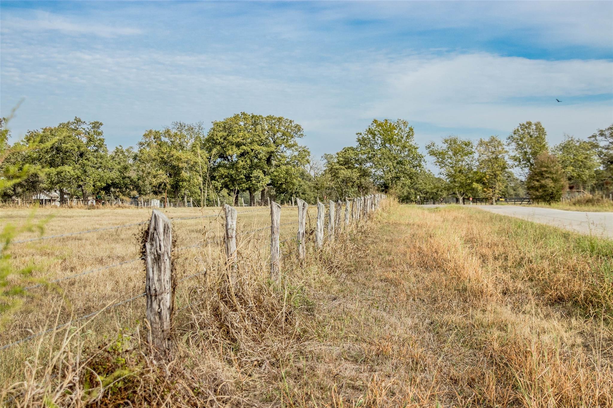 Tbd County Road 236 Property Photo 3