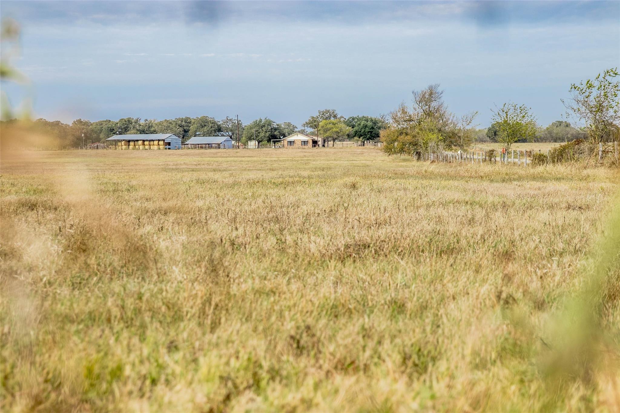 Tbd County Road 236 Property Photo 5