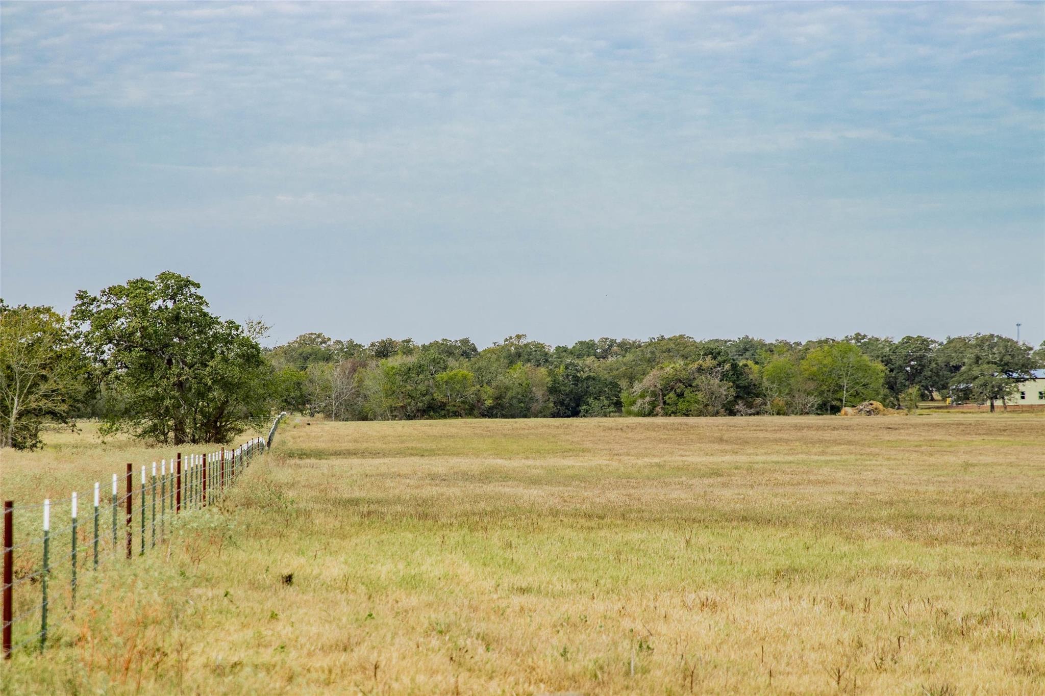 Tbd County Road 236 Property Photo 6