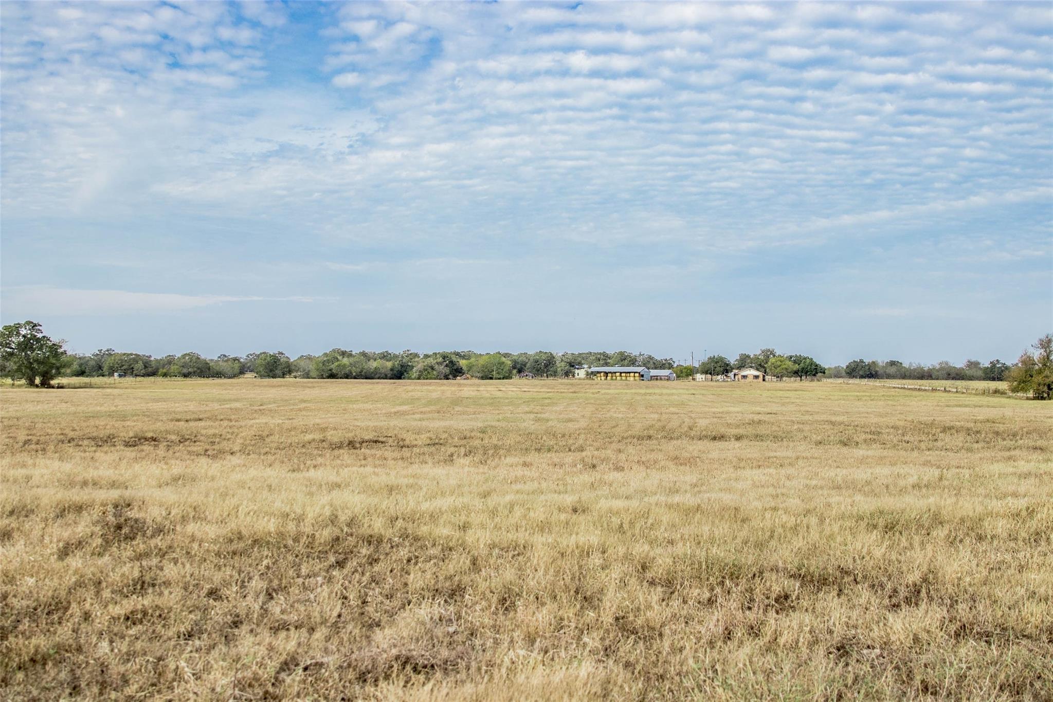 Tbd County Road 236 Property Photo 8