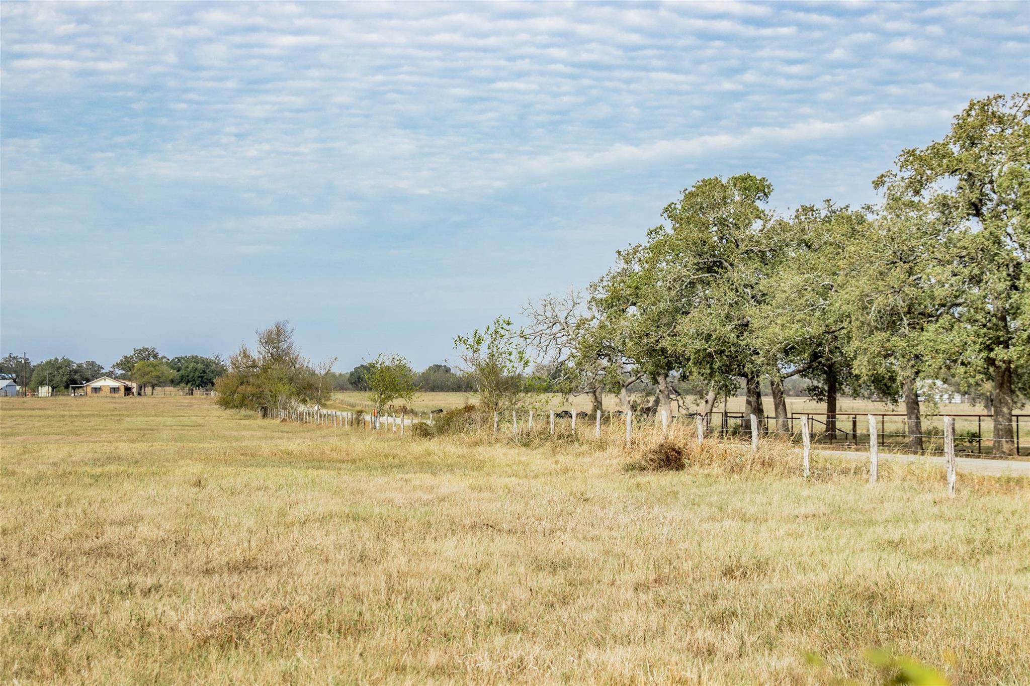 Tbd County Road 236 Property Photo 9