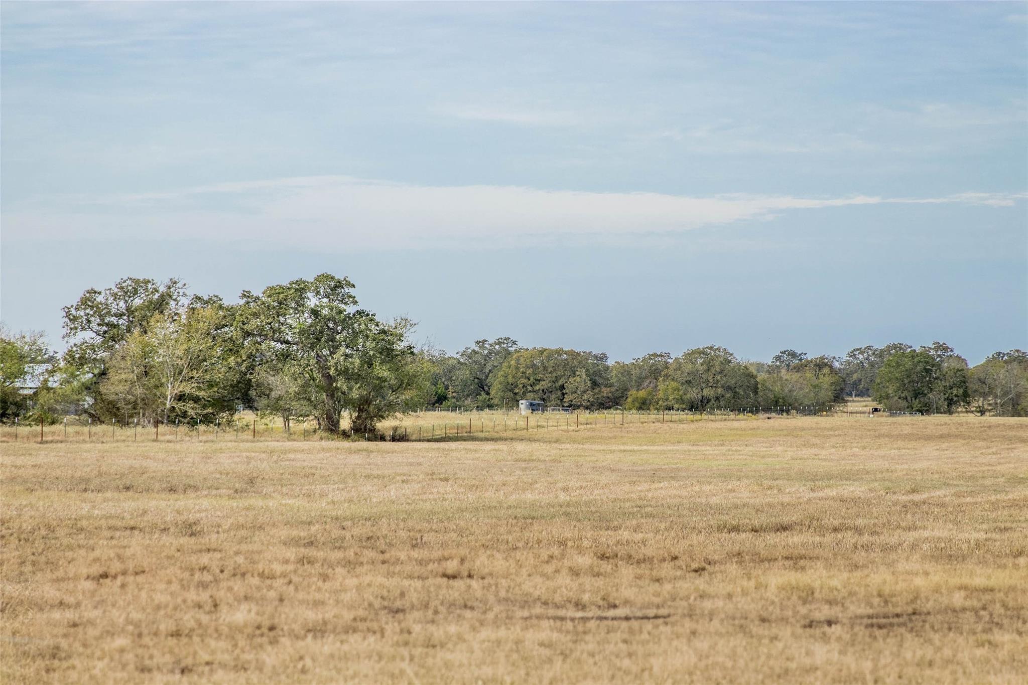 Tbd County Road 236 Property Photo 14