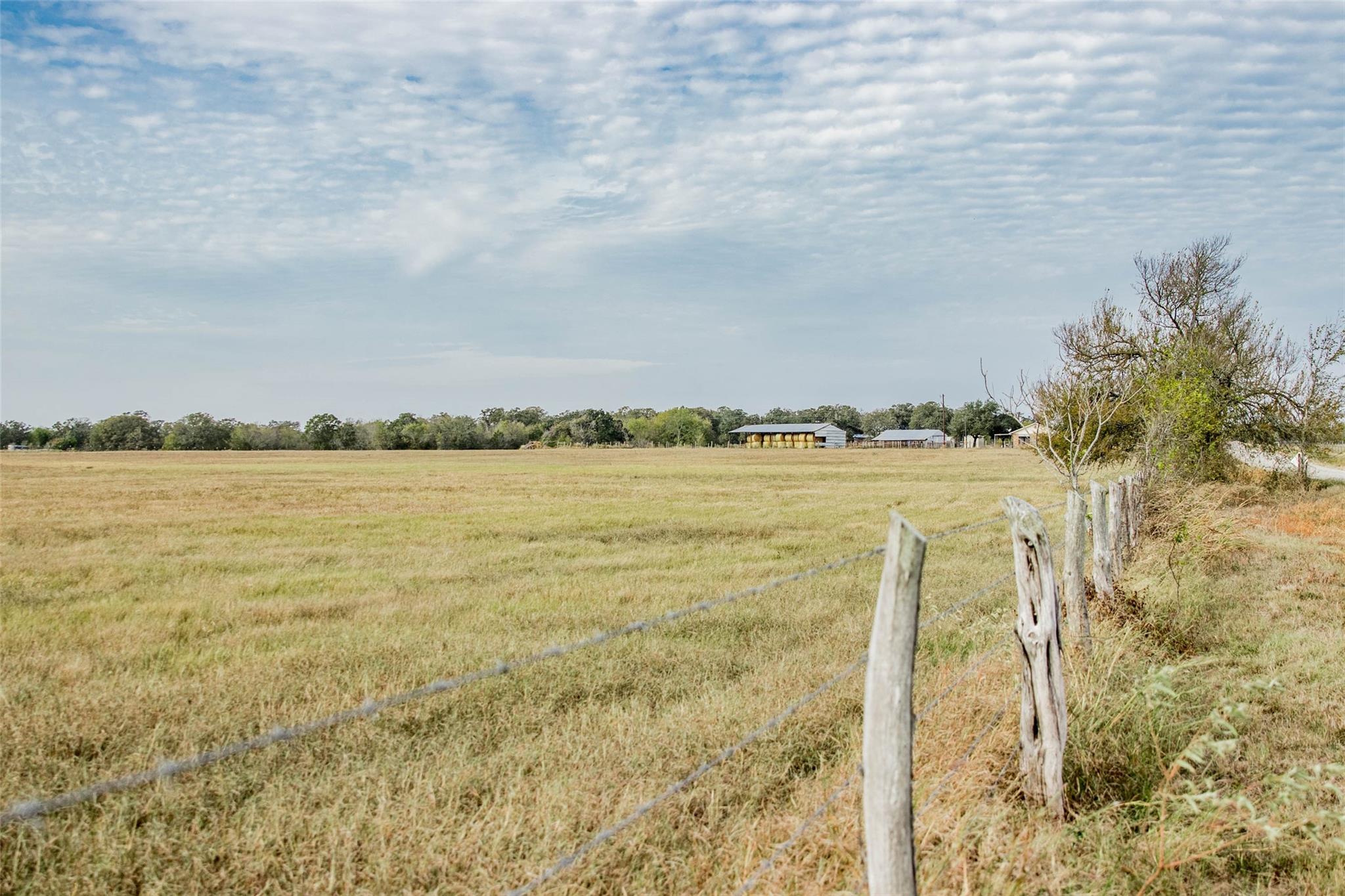 Tbd County Road 236 Property Photo 15
