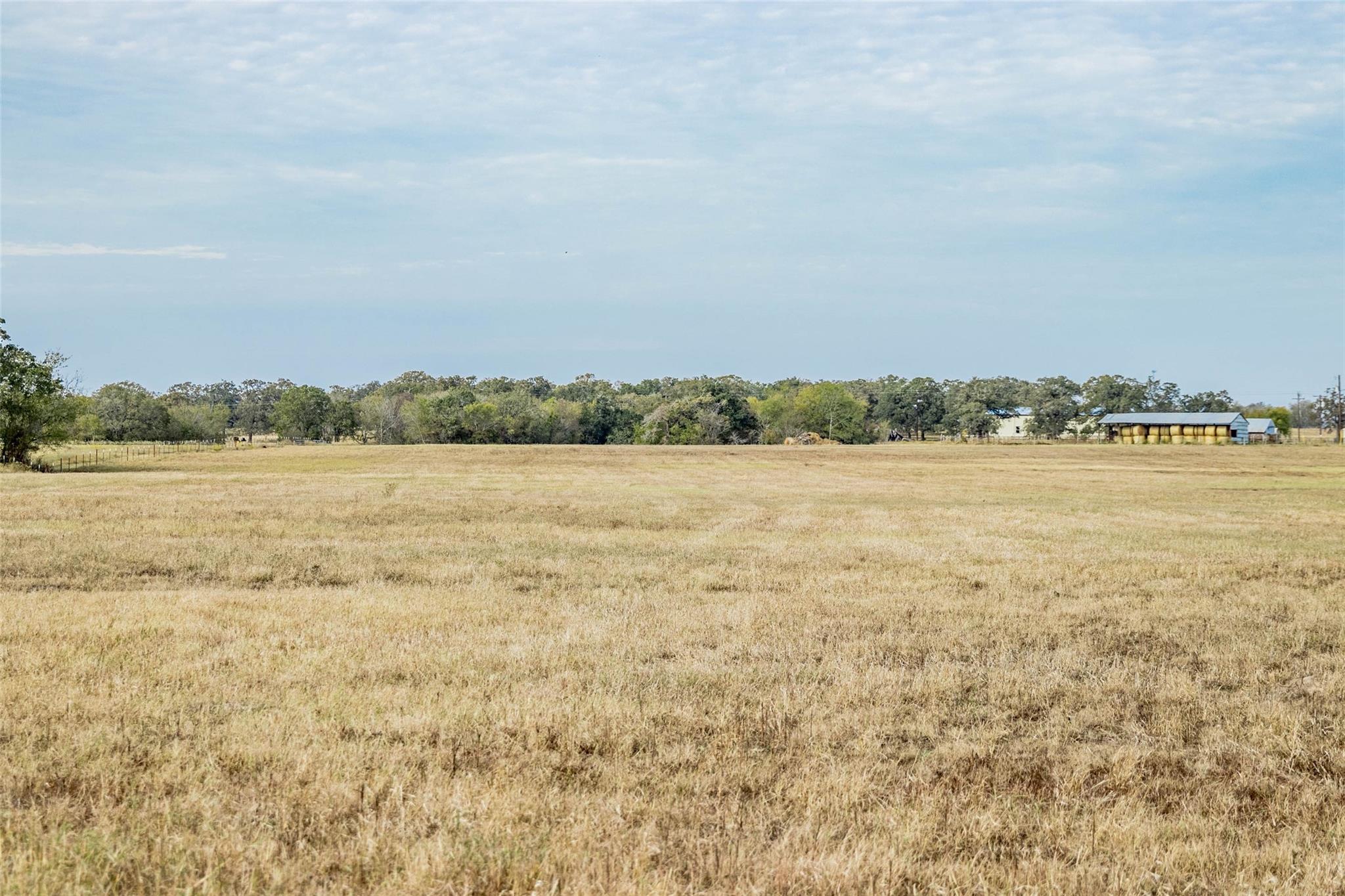 Tbd County Road 236 Property Photo 16