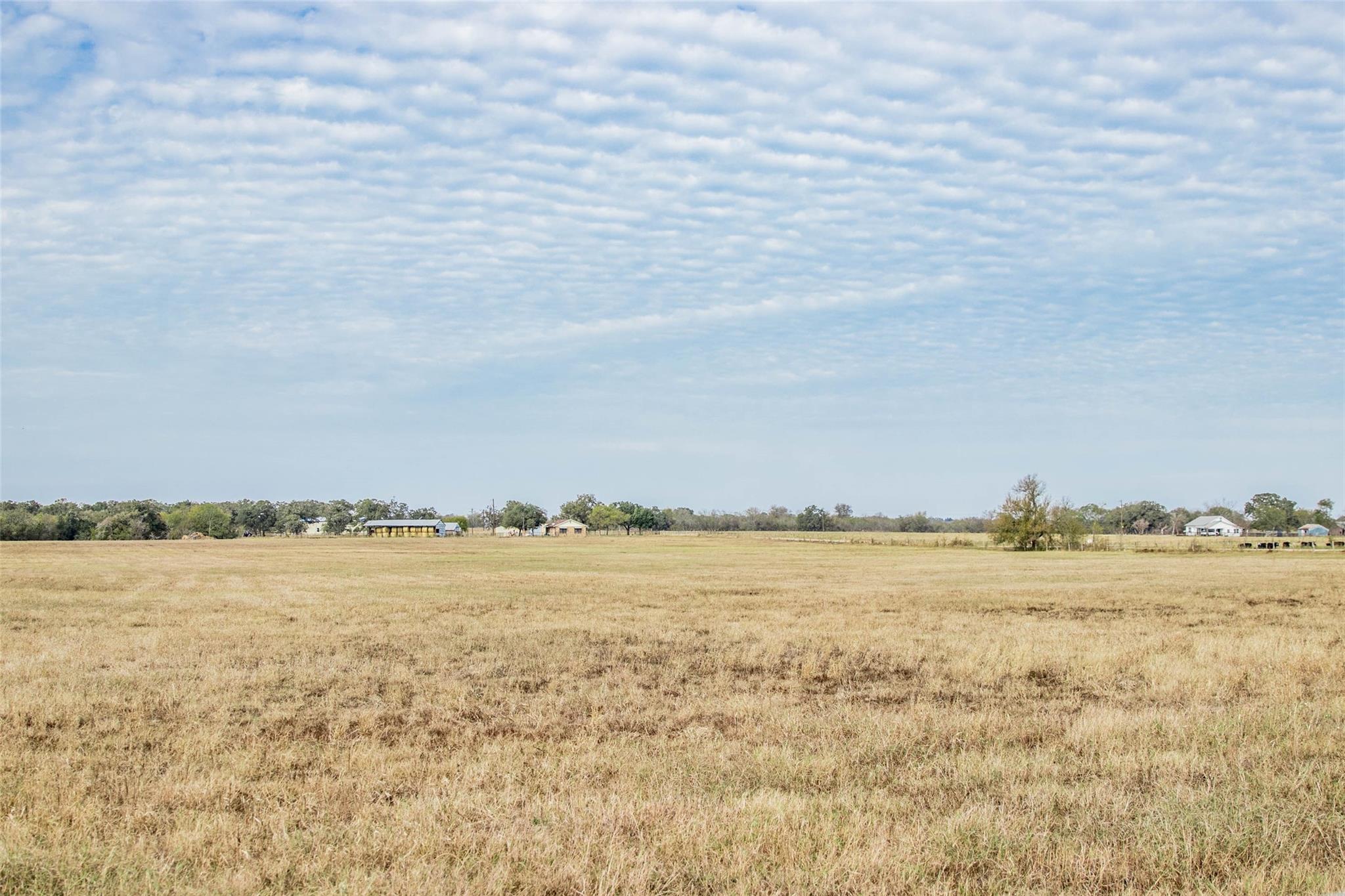 Tbd County Road 236 Property Photo 17