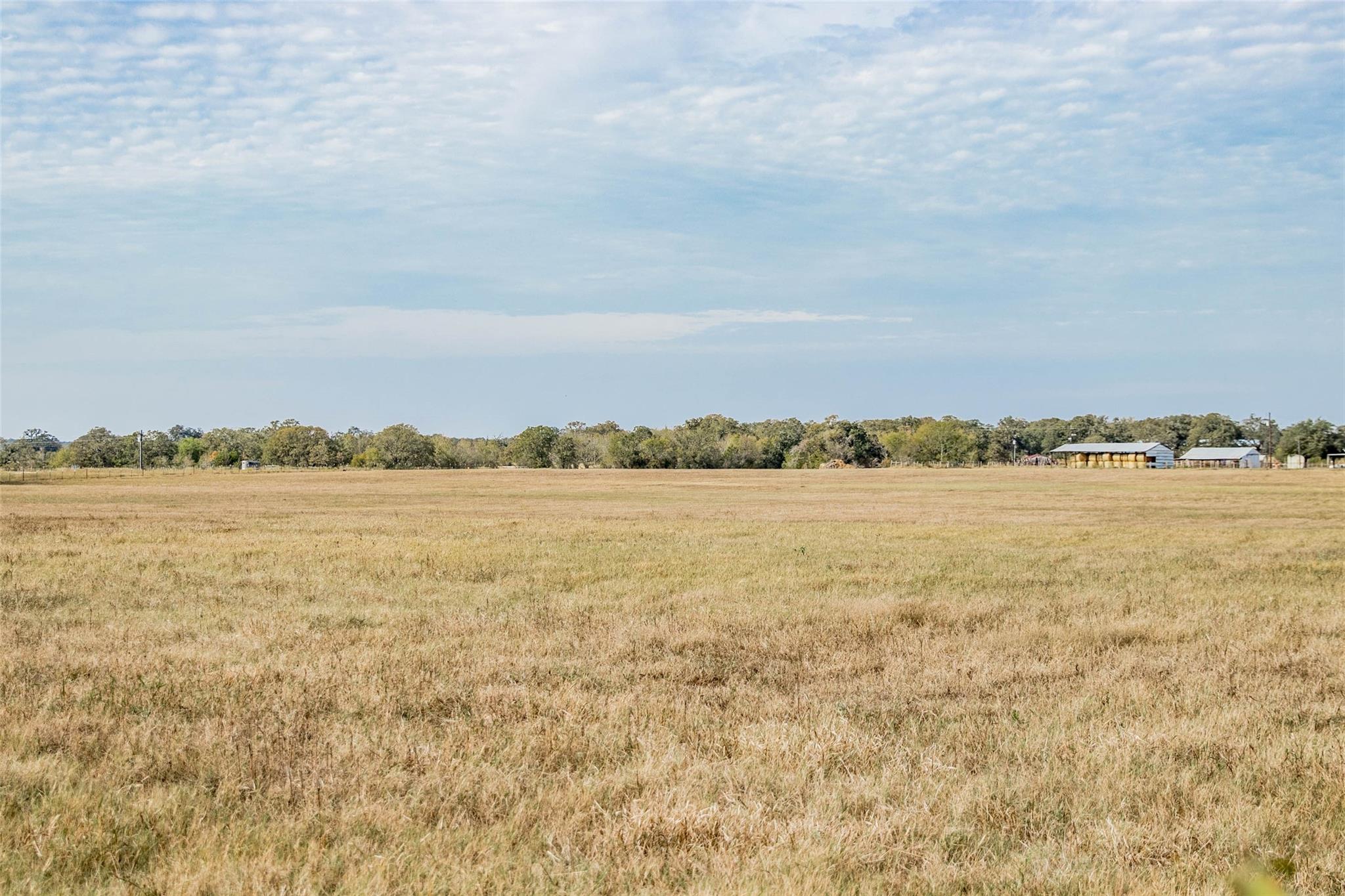 Tbd County Road 236 Property Photo 18