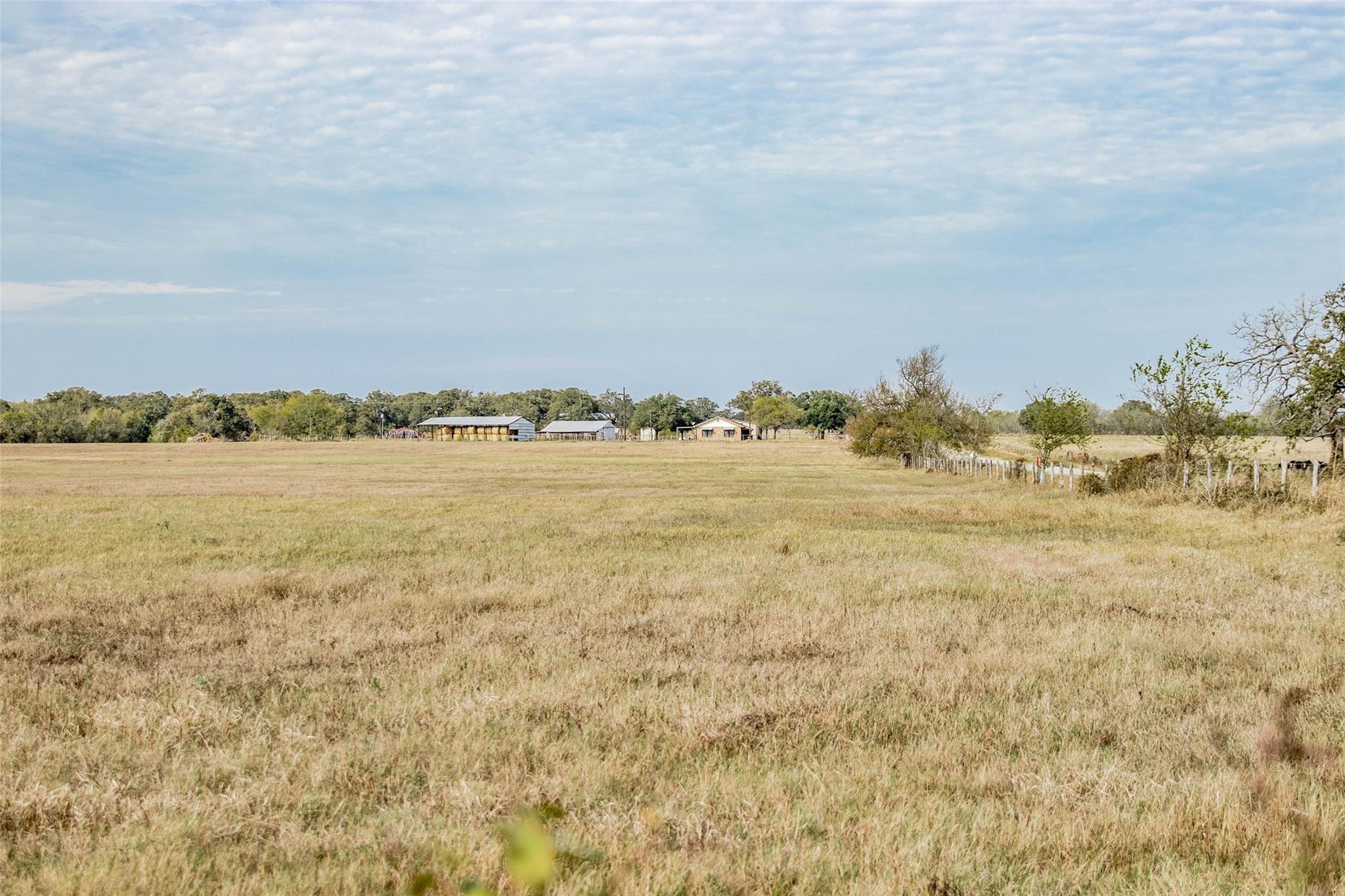 Tbd County Road 236 Property Photo 20