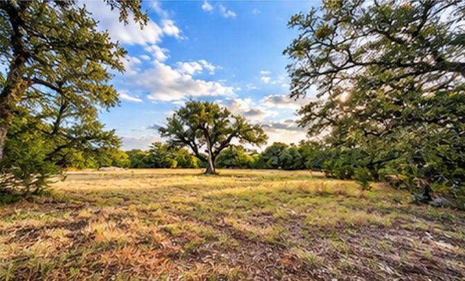 208 Viento Cv Property Photo 15