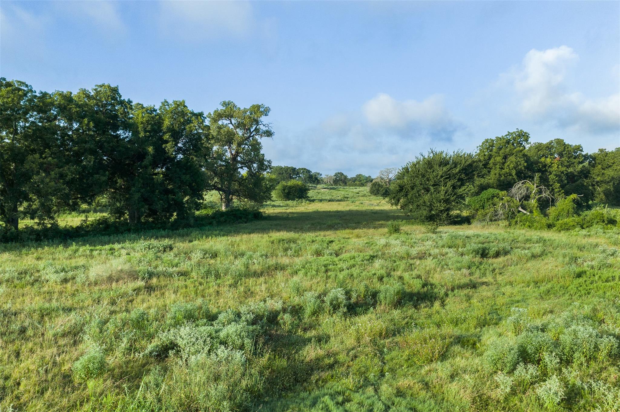 Tbd Lcr 721 None Property Photo 6