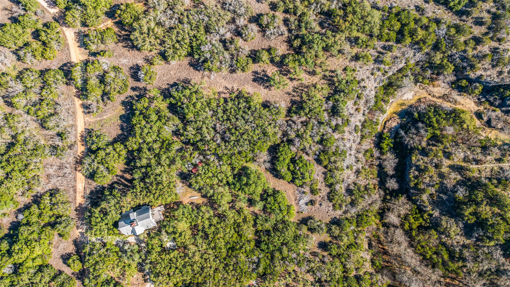 4505 Little Creek Trl Property Photo 2