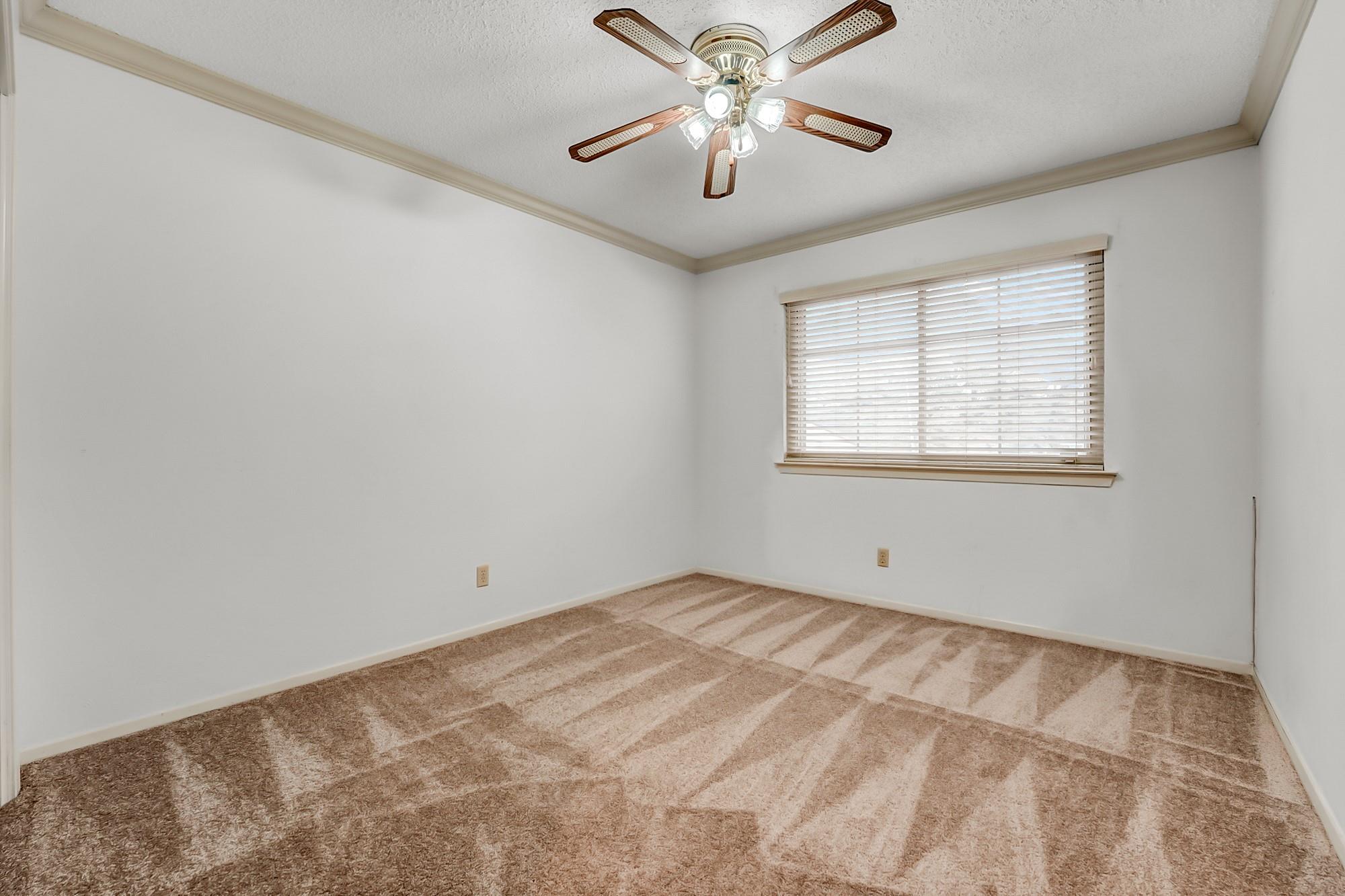 8001 Manassas Dr Property Photo 24