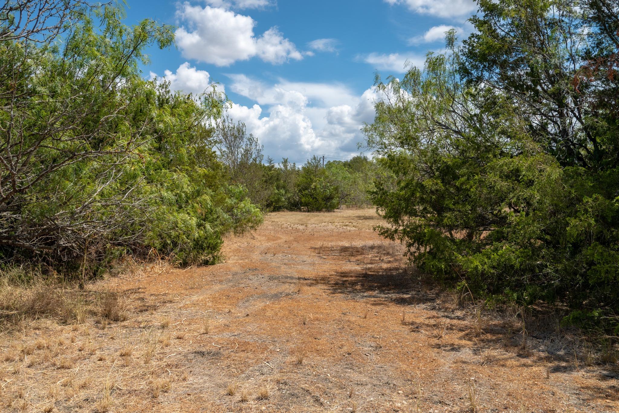 12002 Sunbonnet Cv Property Photo 3