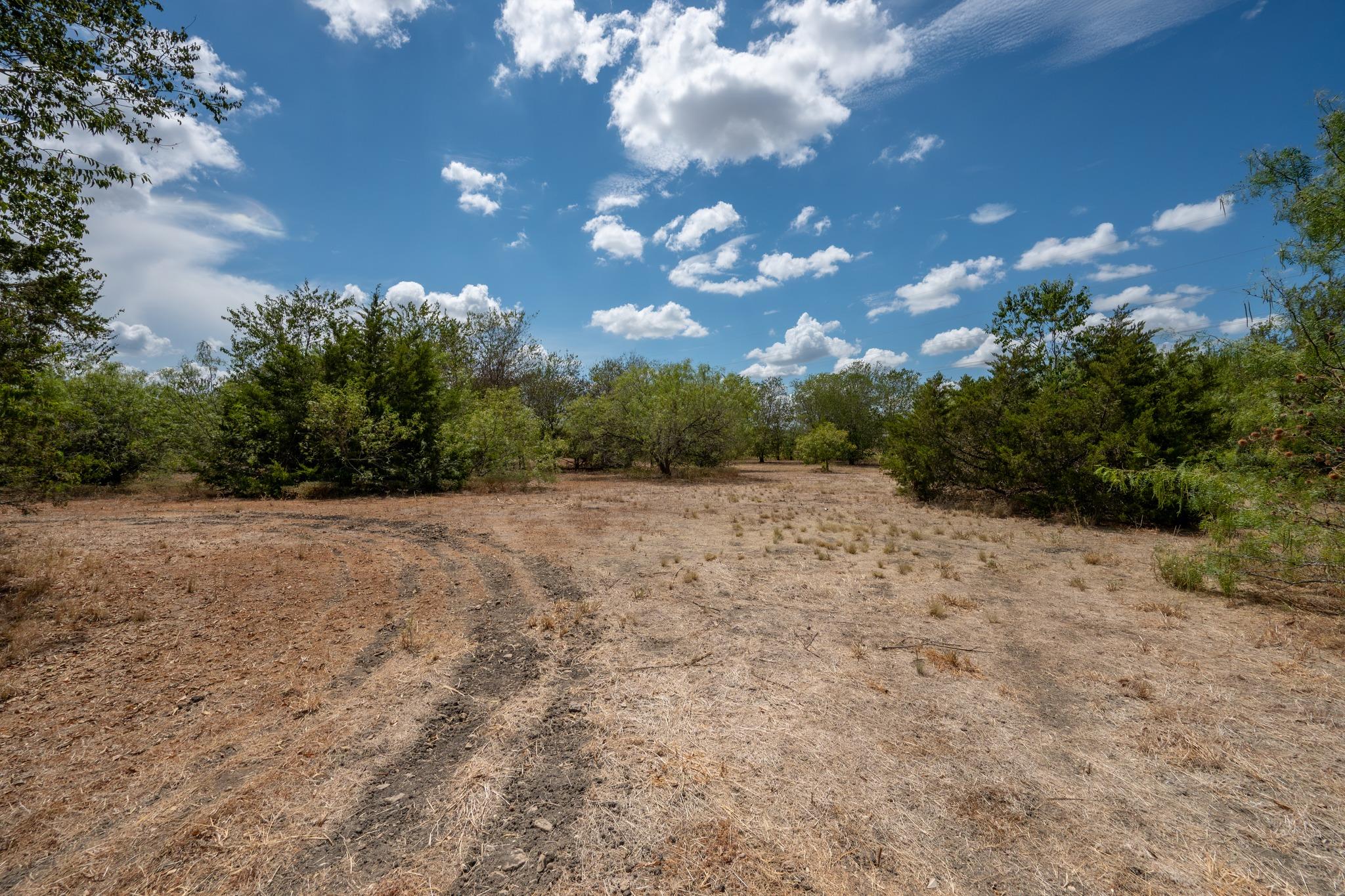 12002 Sunbonnet Cv Property Photo 4