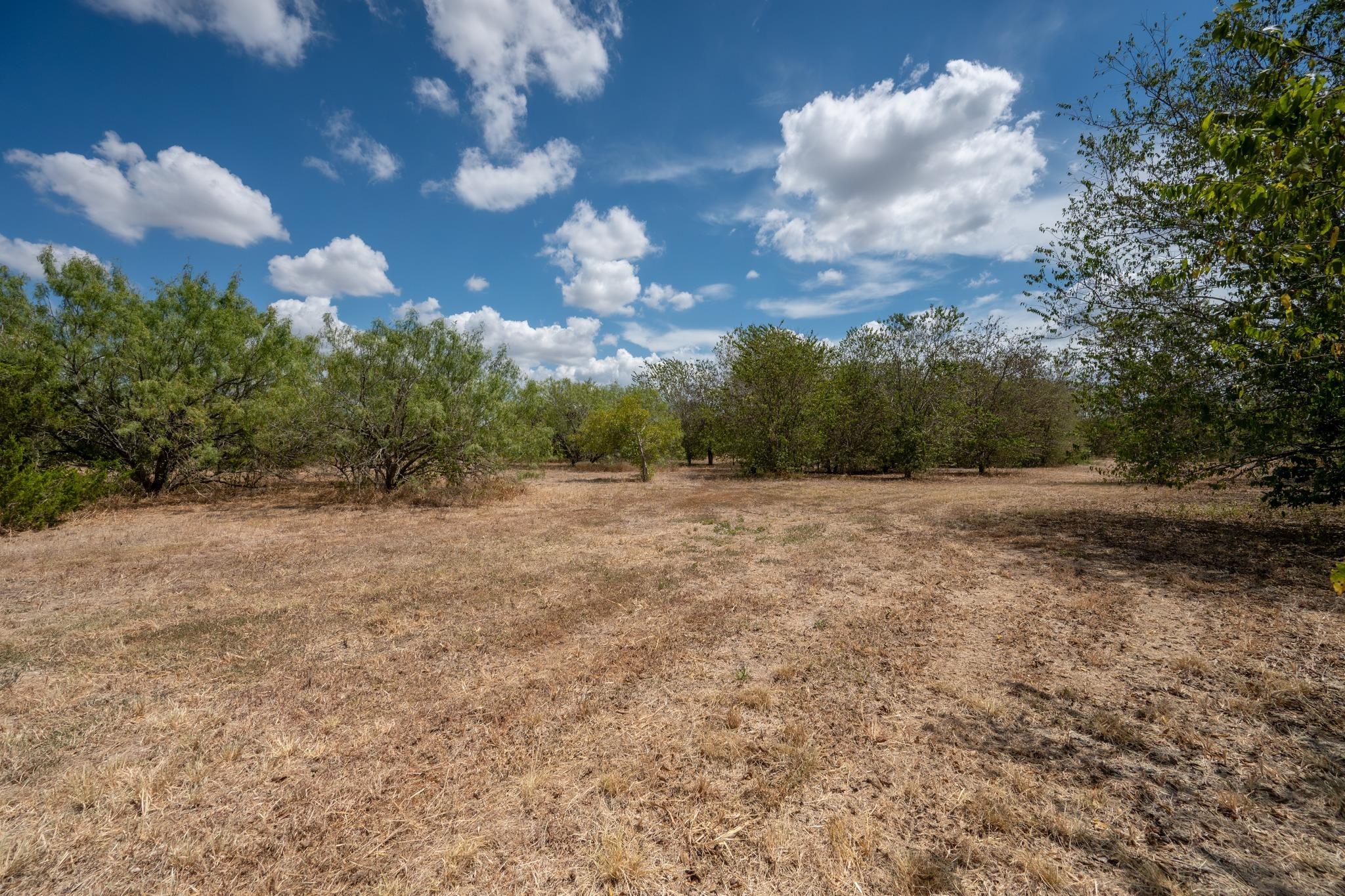 12002 Sunbonnet Cv Property Photo 5