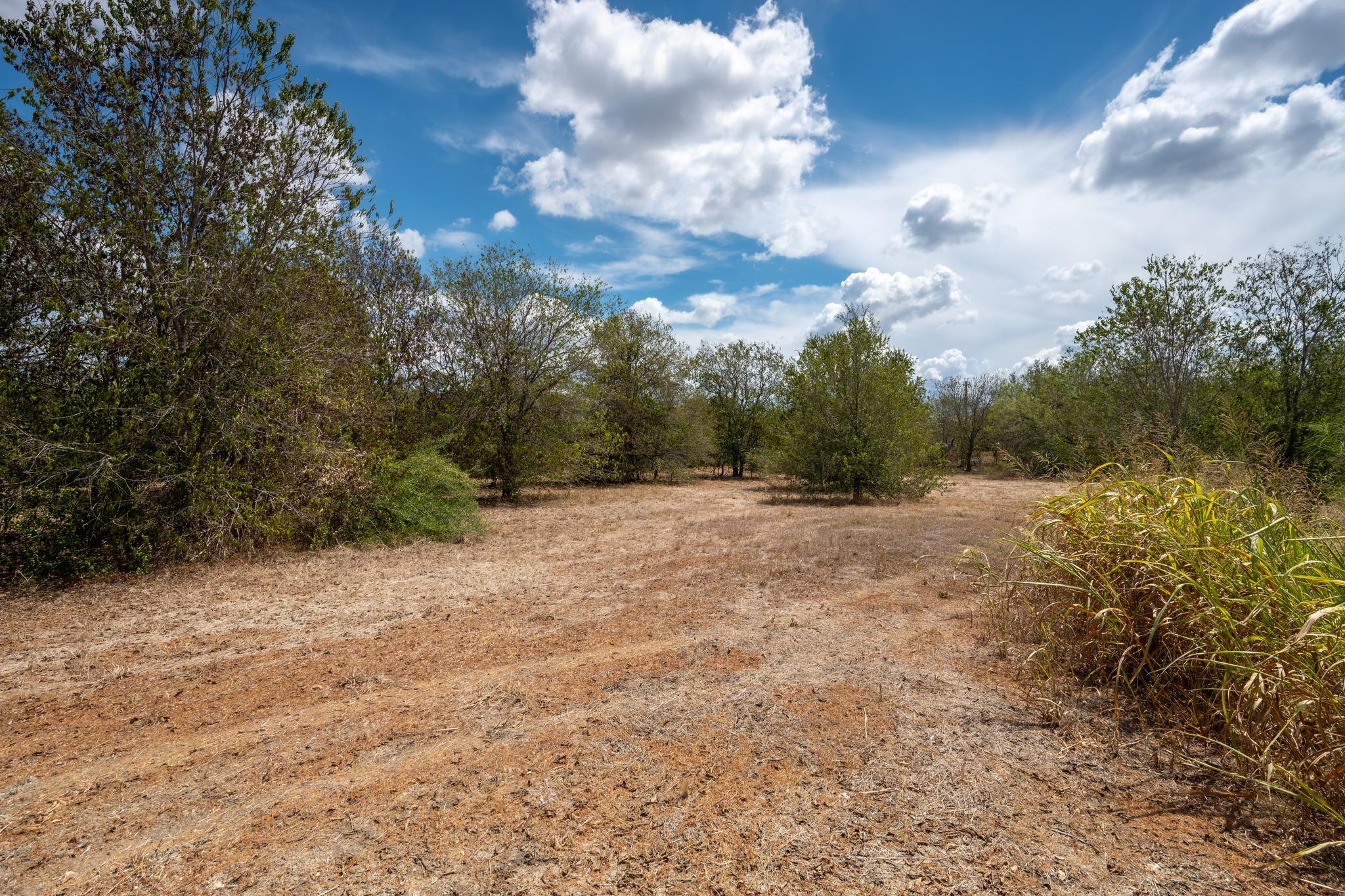 12002 Sunbonnet Cv Property Photo 7