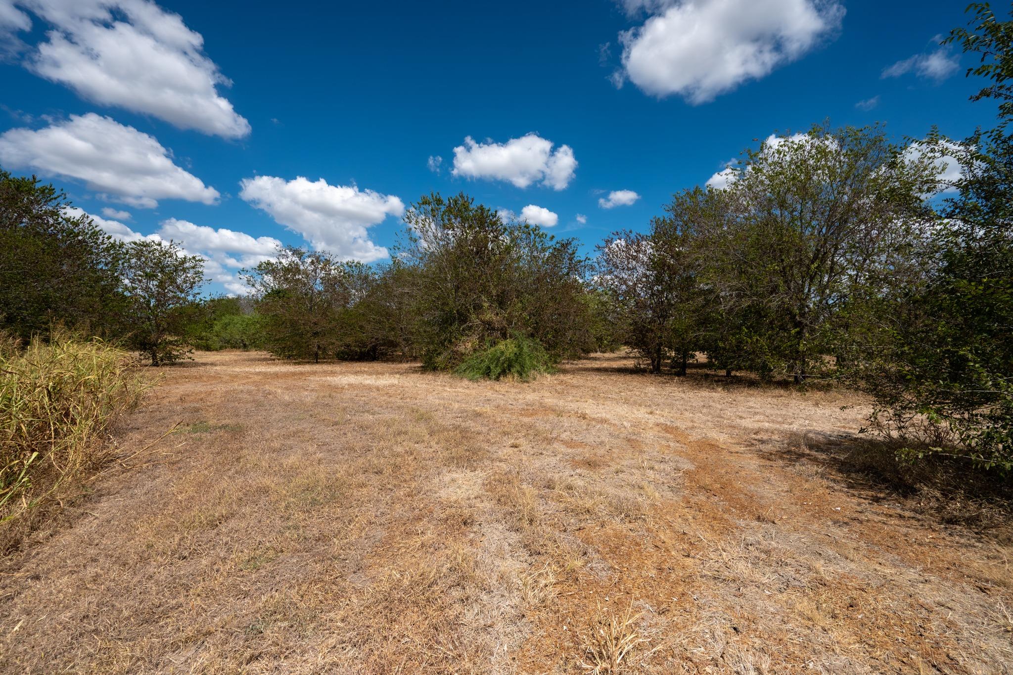 12002 Sunbonnet Cv Property Photo 8