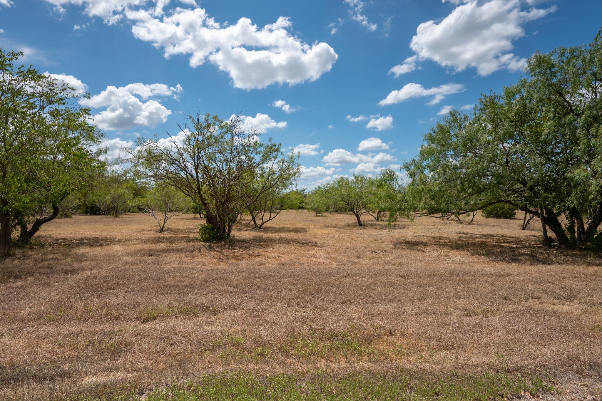12002 Sunbonnet Cv Property Photo 9