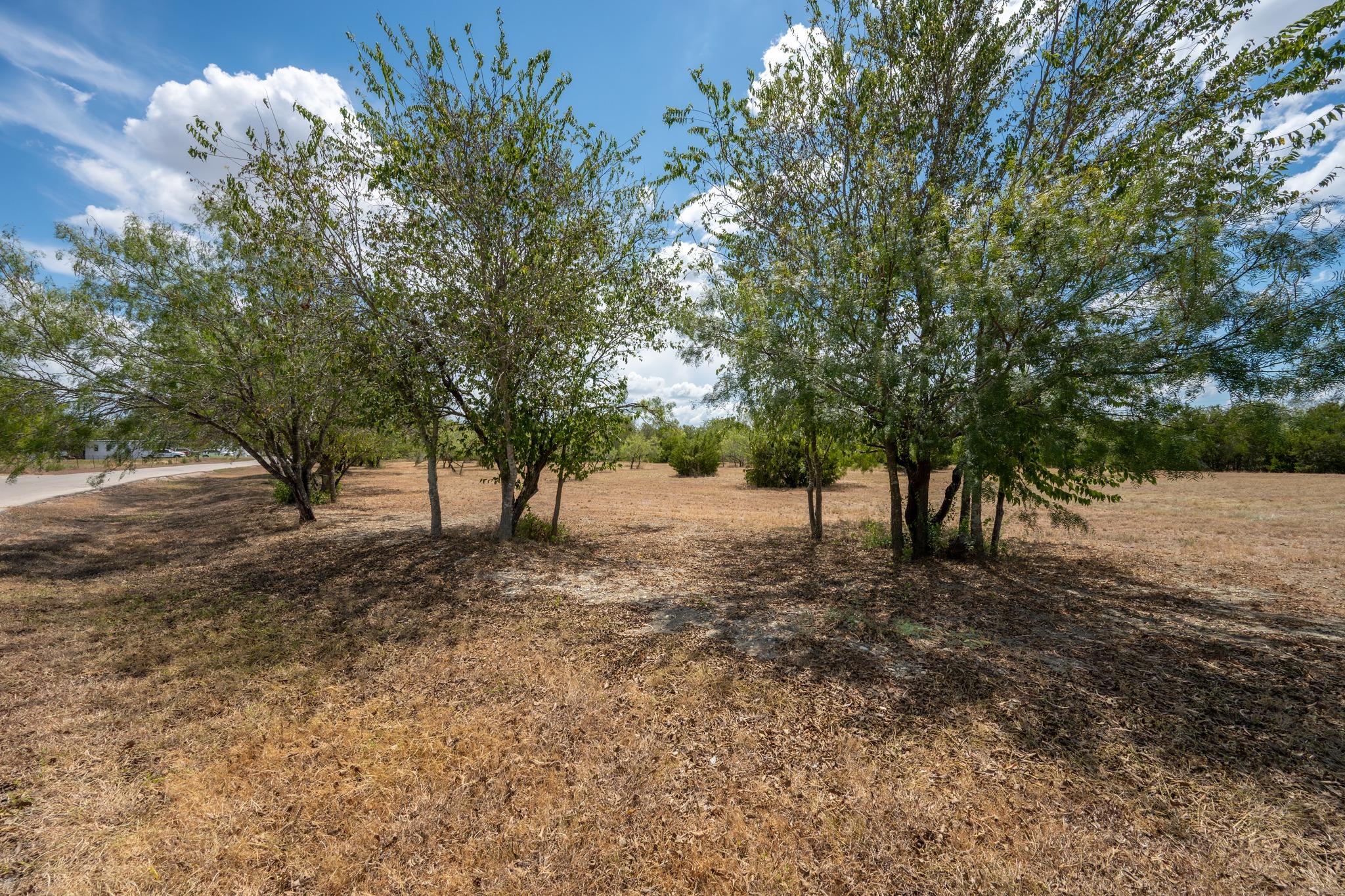 12002 Sunbonnet Cv Property Photo 10