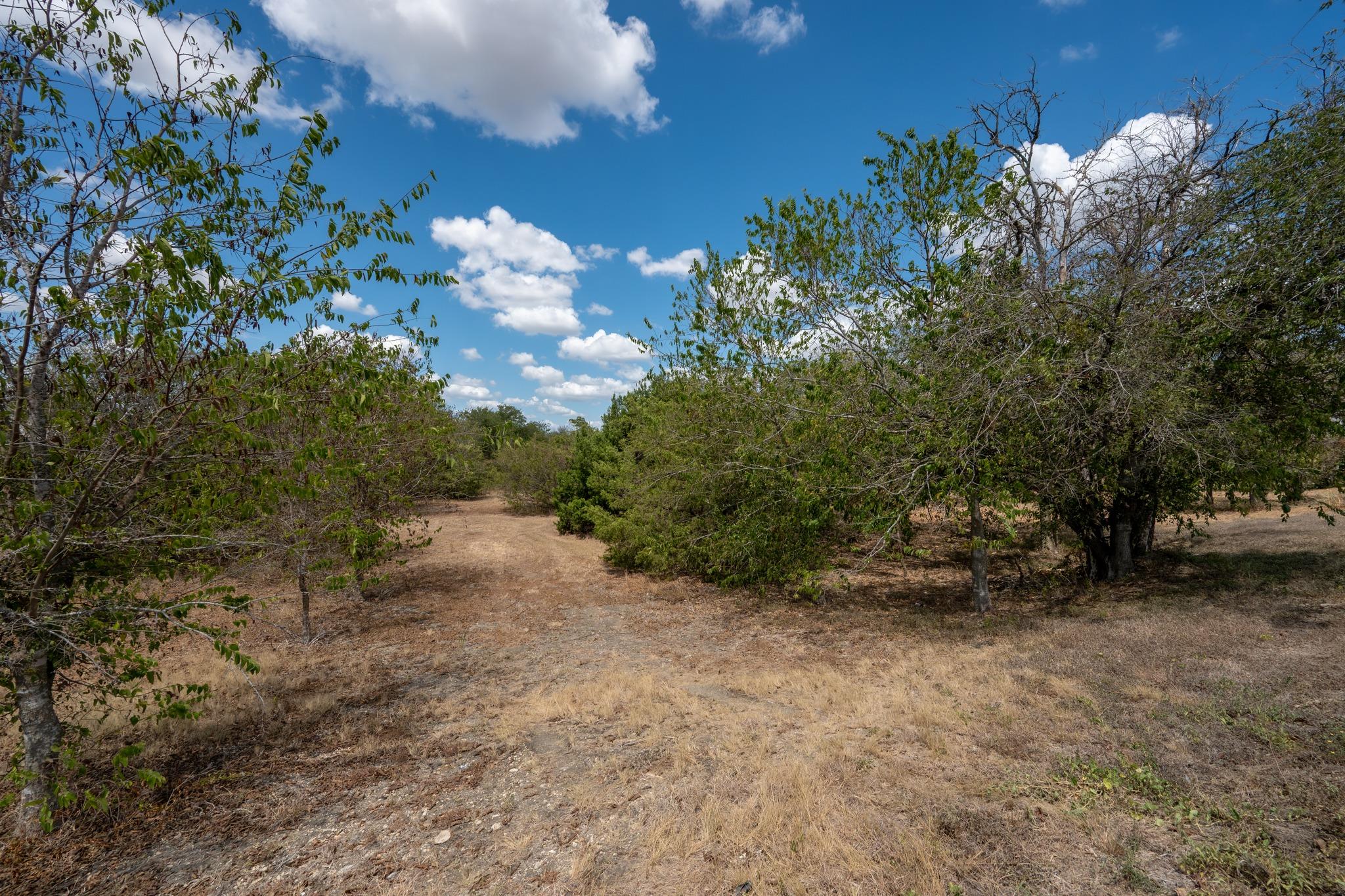 12002 Sunbonnet Cv Property Photo 11