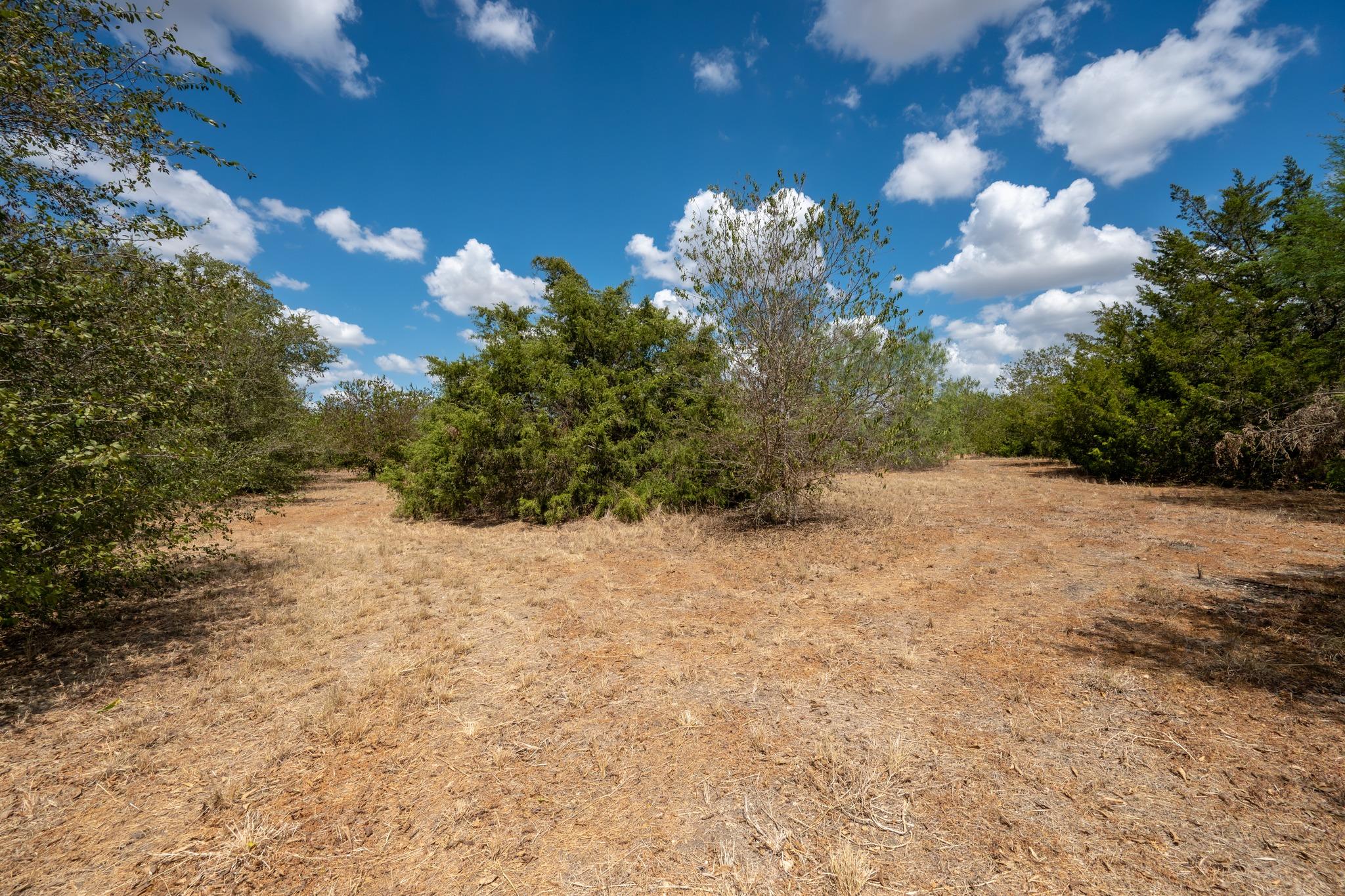 12002 Sunbonnet Cv Property Photo 12