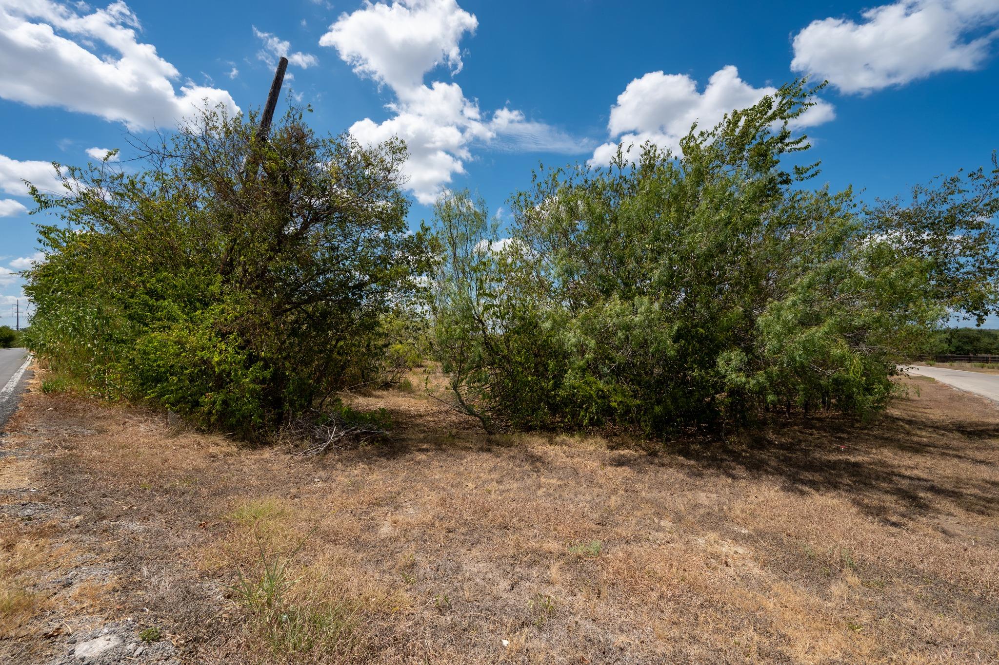 12002 Sunbonnet Cv Property Photo 14